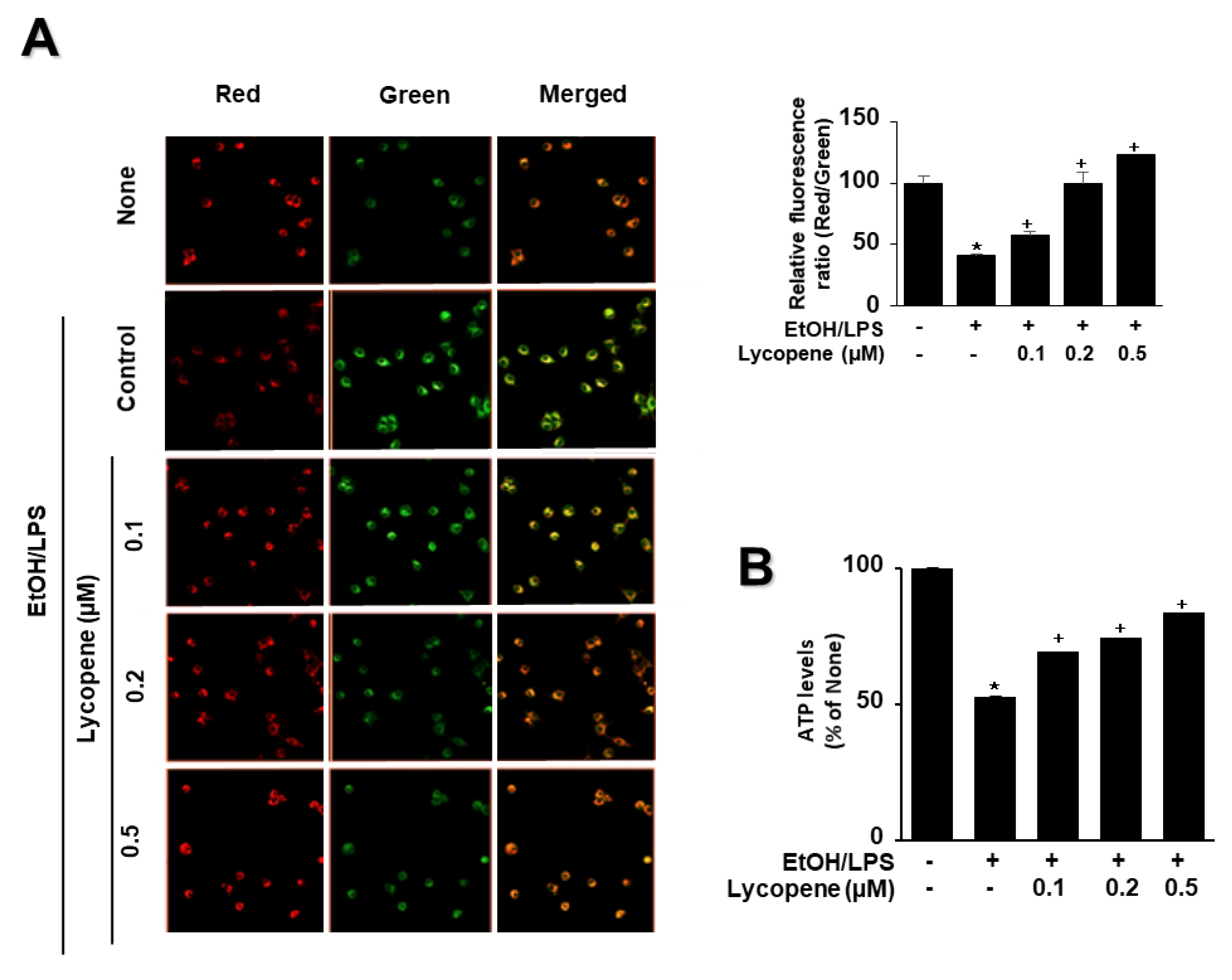 Antioxidants 11 00519 g004 Antioxidants 11 00519 g004