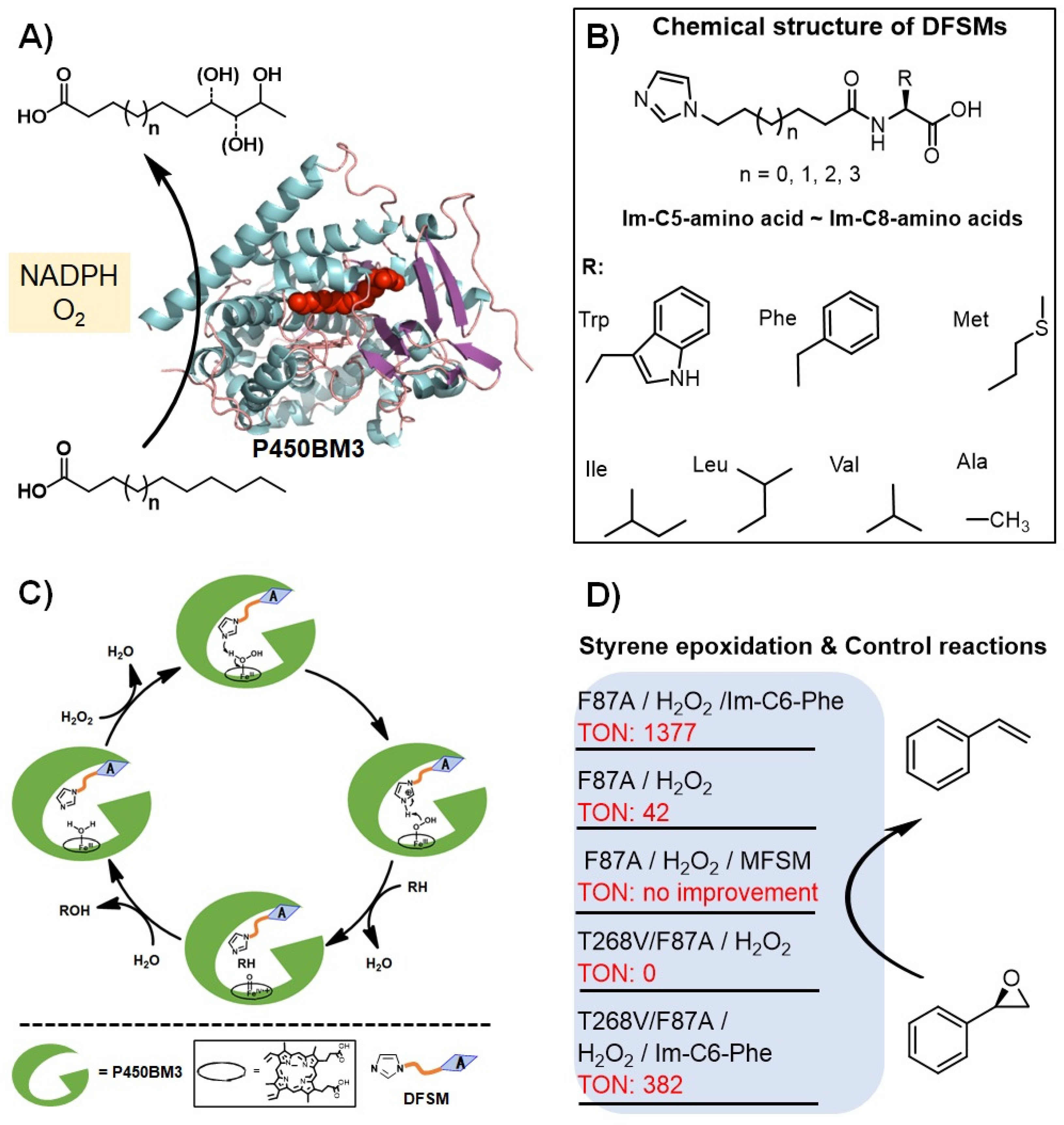 Antioxidants 11 00529 g003 Antioxidants 11 00529 g003