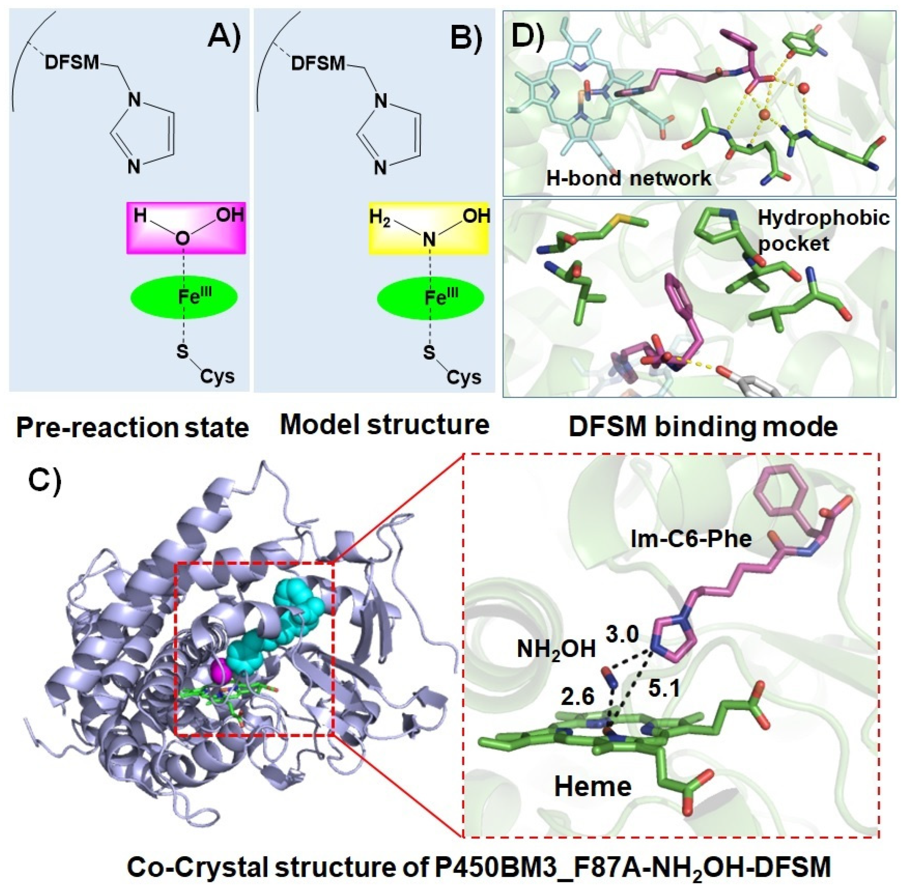 Antioxidants 11 00529 g004 Antioxidants 11 00529 g004