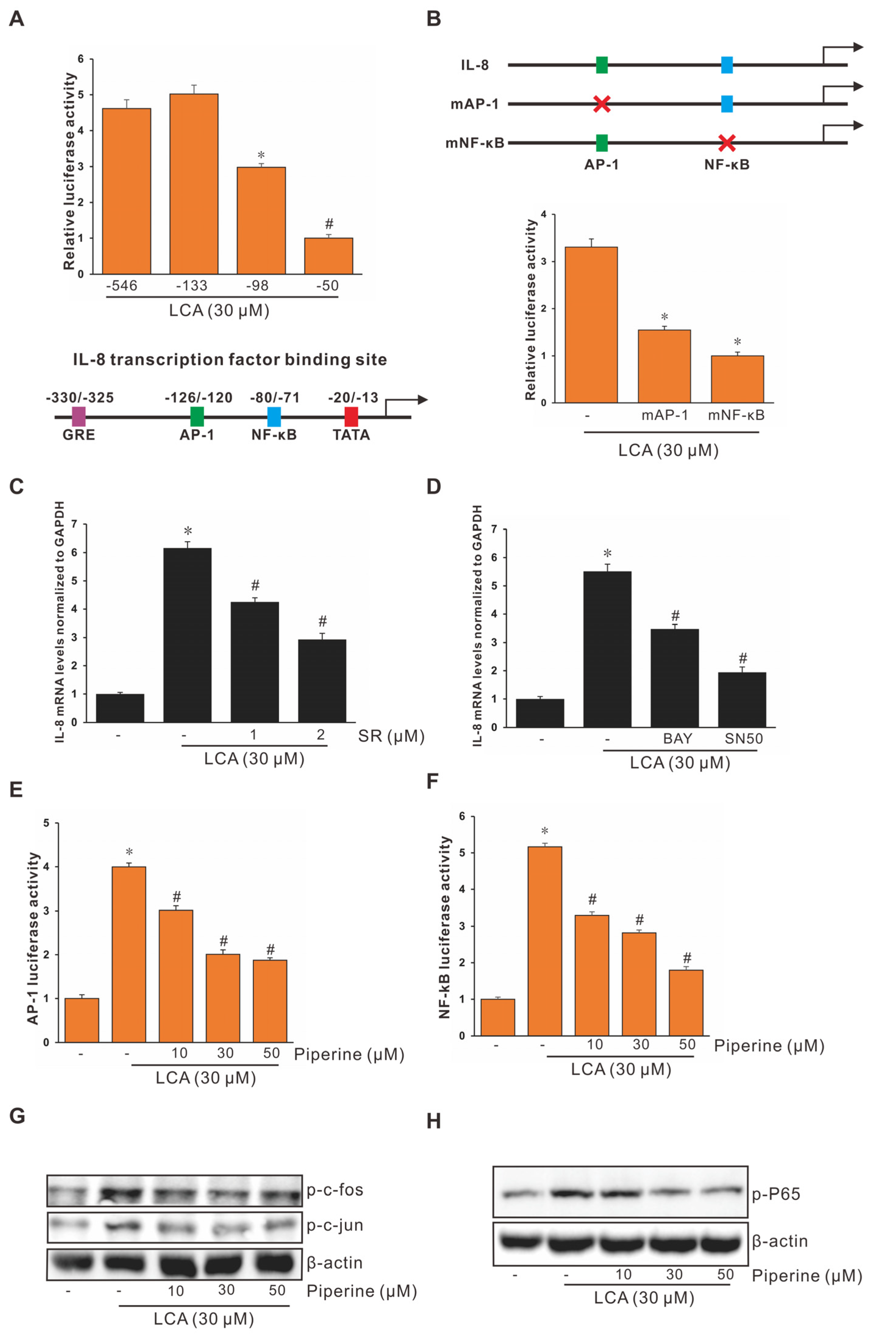 Antioxidants 11 00530 g002 Antioxidants 11 00530 g002
