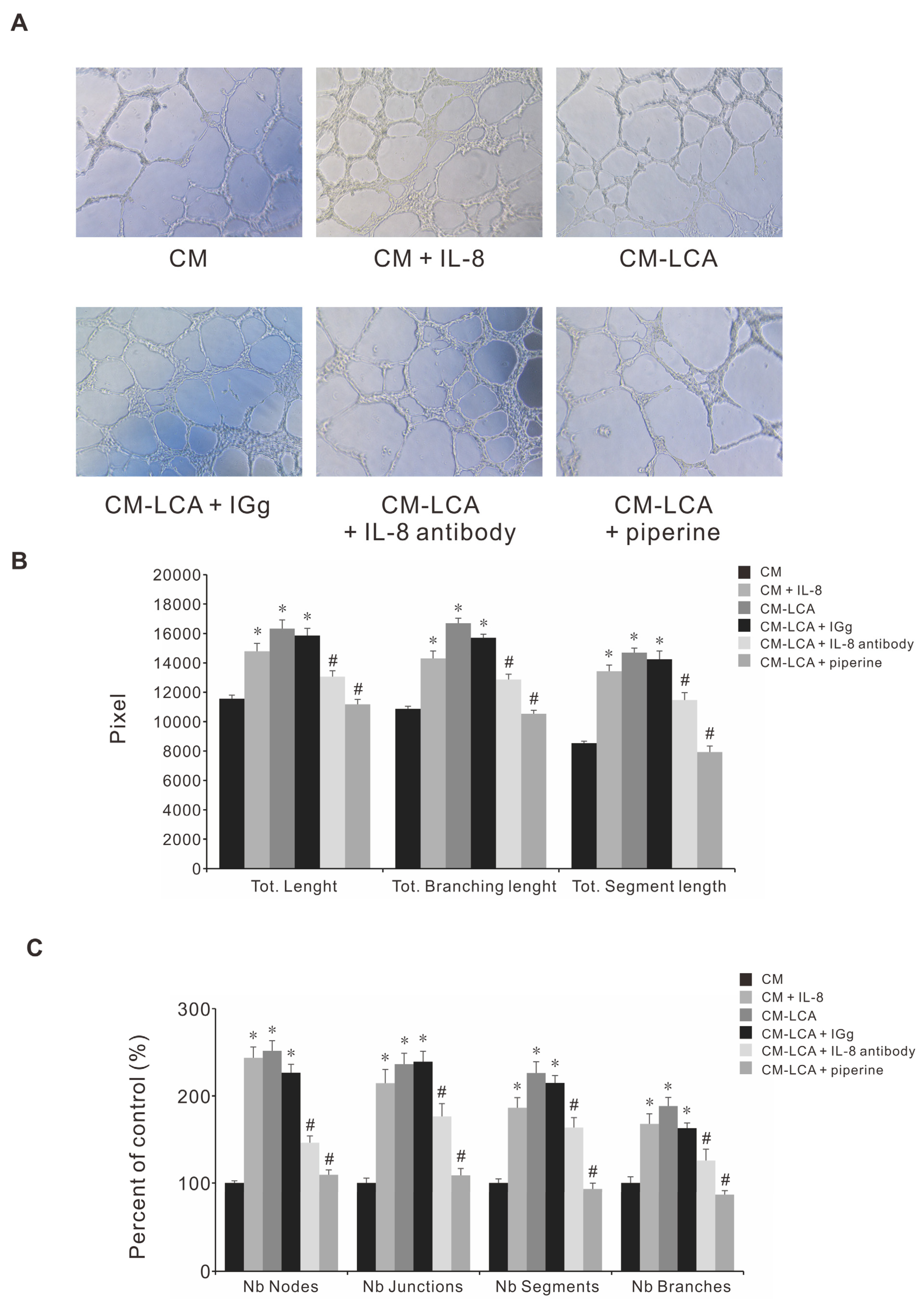 Antioxidants 11 00530 g006 Antioxidants 11 00530 g006