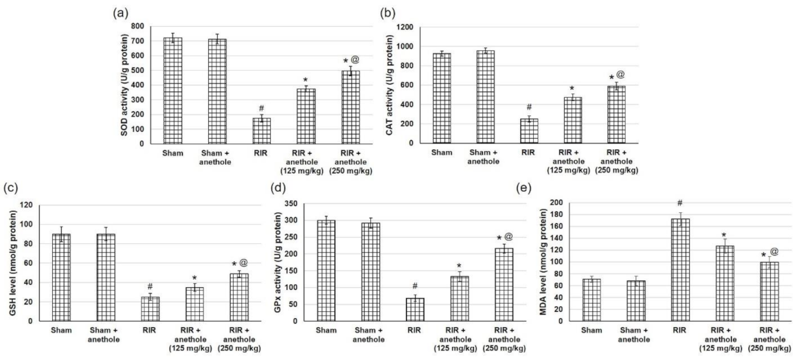 Antioxidants 11 00535 g003 Antioxidants 11 00535 g003