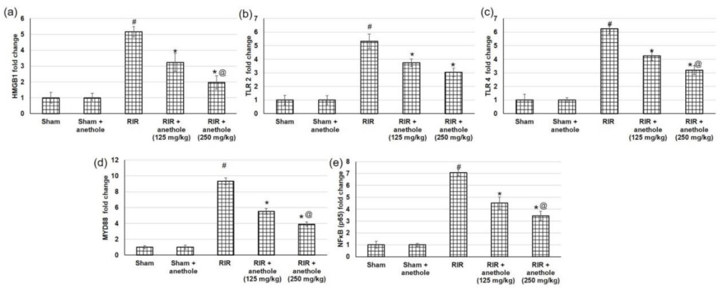 Antioxidants 11 00535 g004 Antioxidants 11 00535 g004