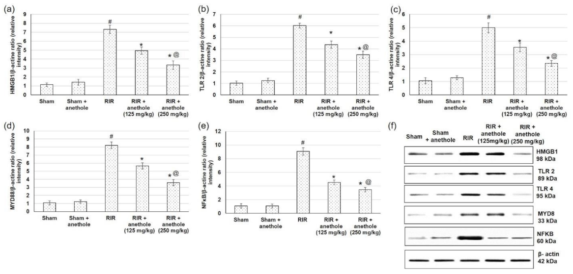 Antioxidants 11 00535 g005 Antioxidants 11 00535 g005