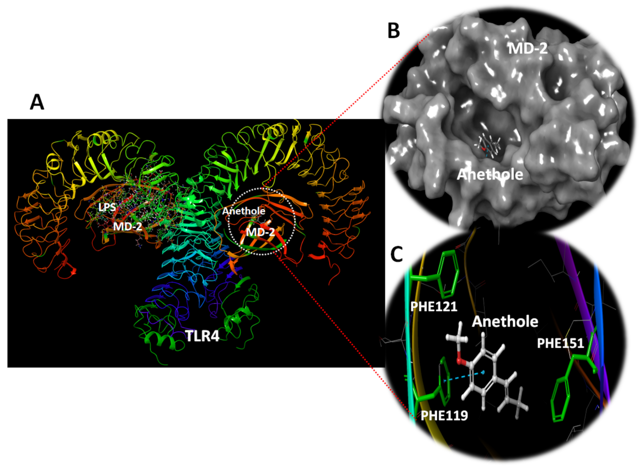 Antioxidants 11 00535 g007 Antioxidants 11 00535 g007