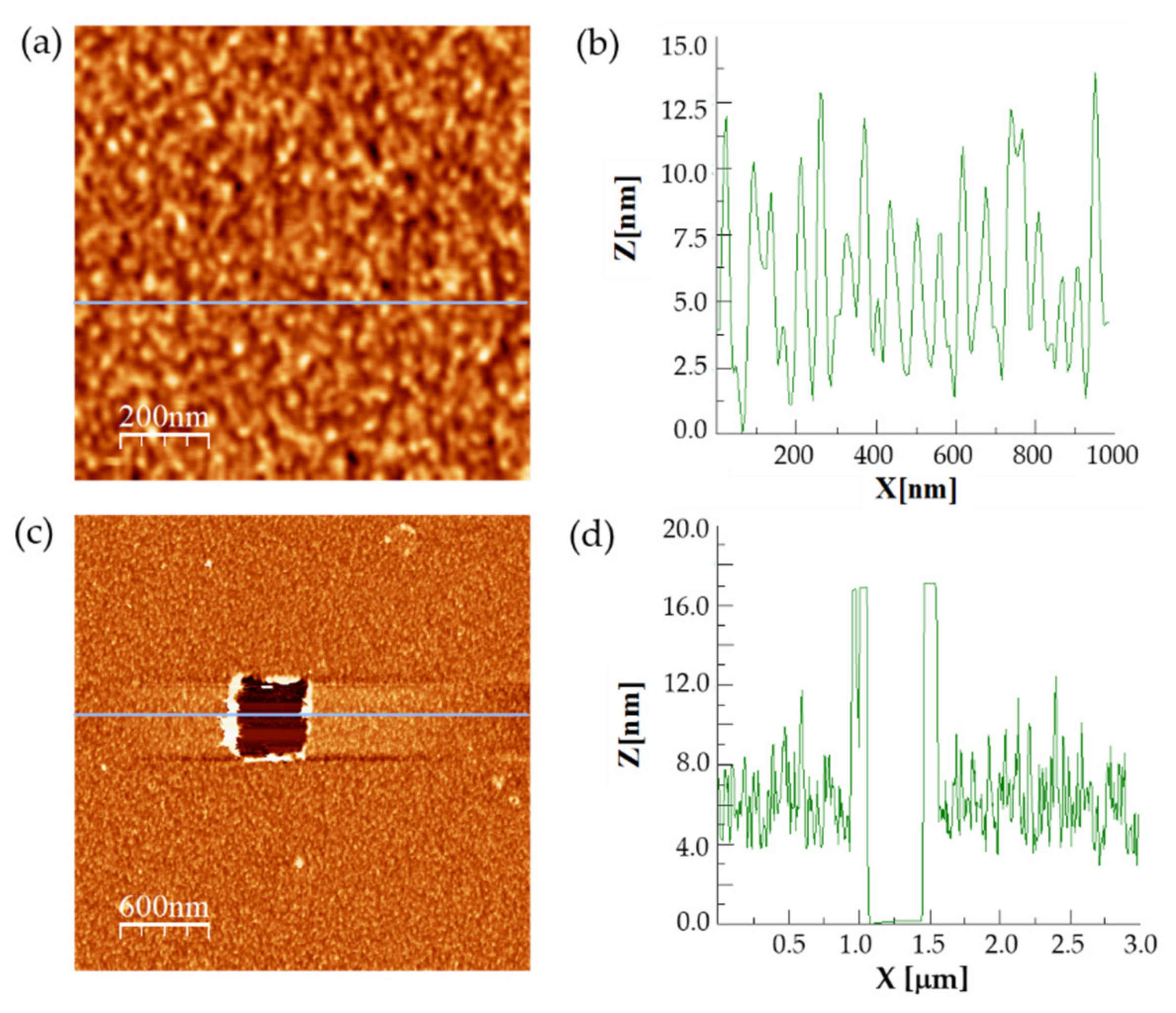 Antioxidants 11 00537 g005