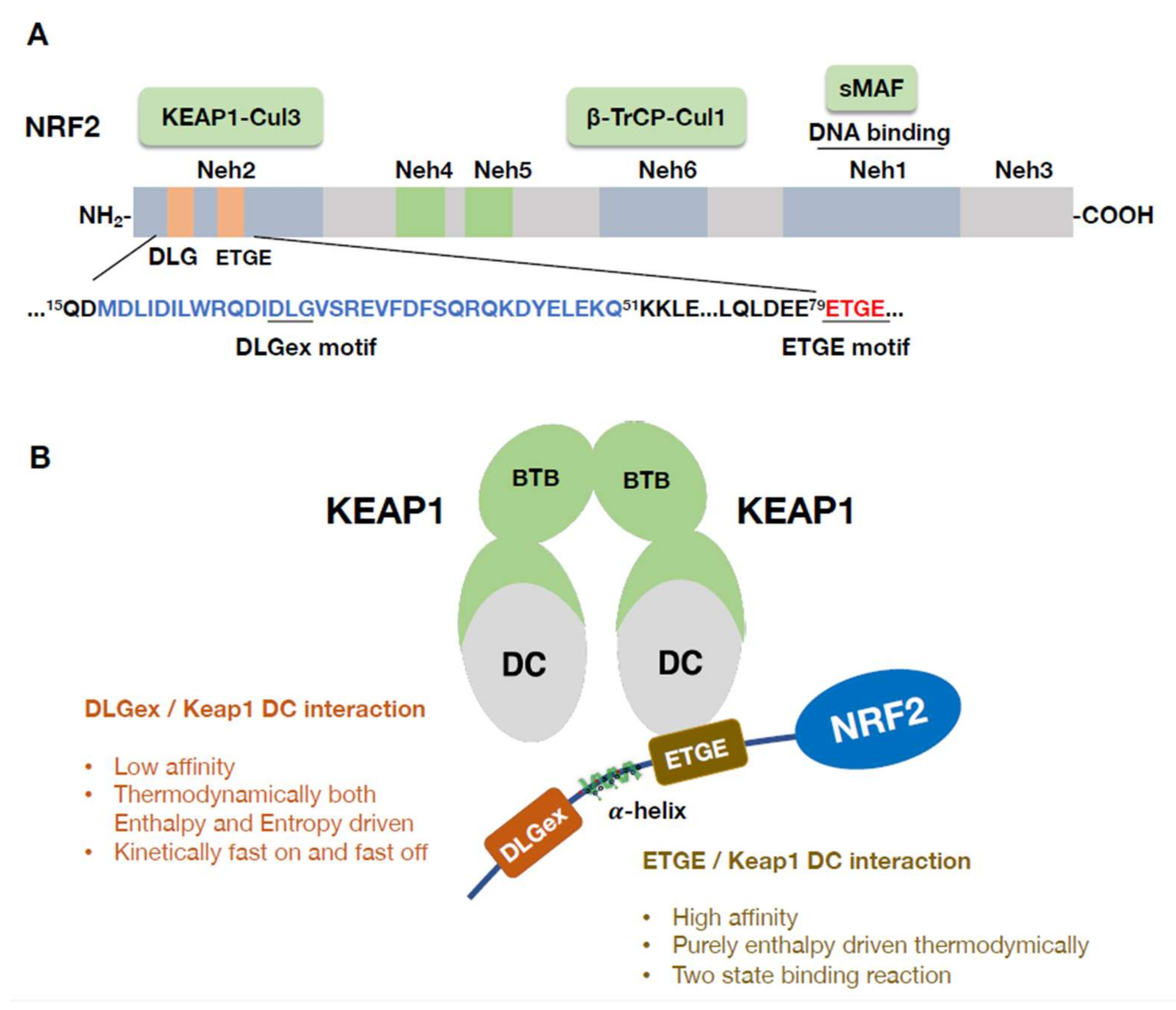 Antioxidants 11 00538 g003 550