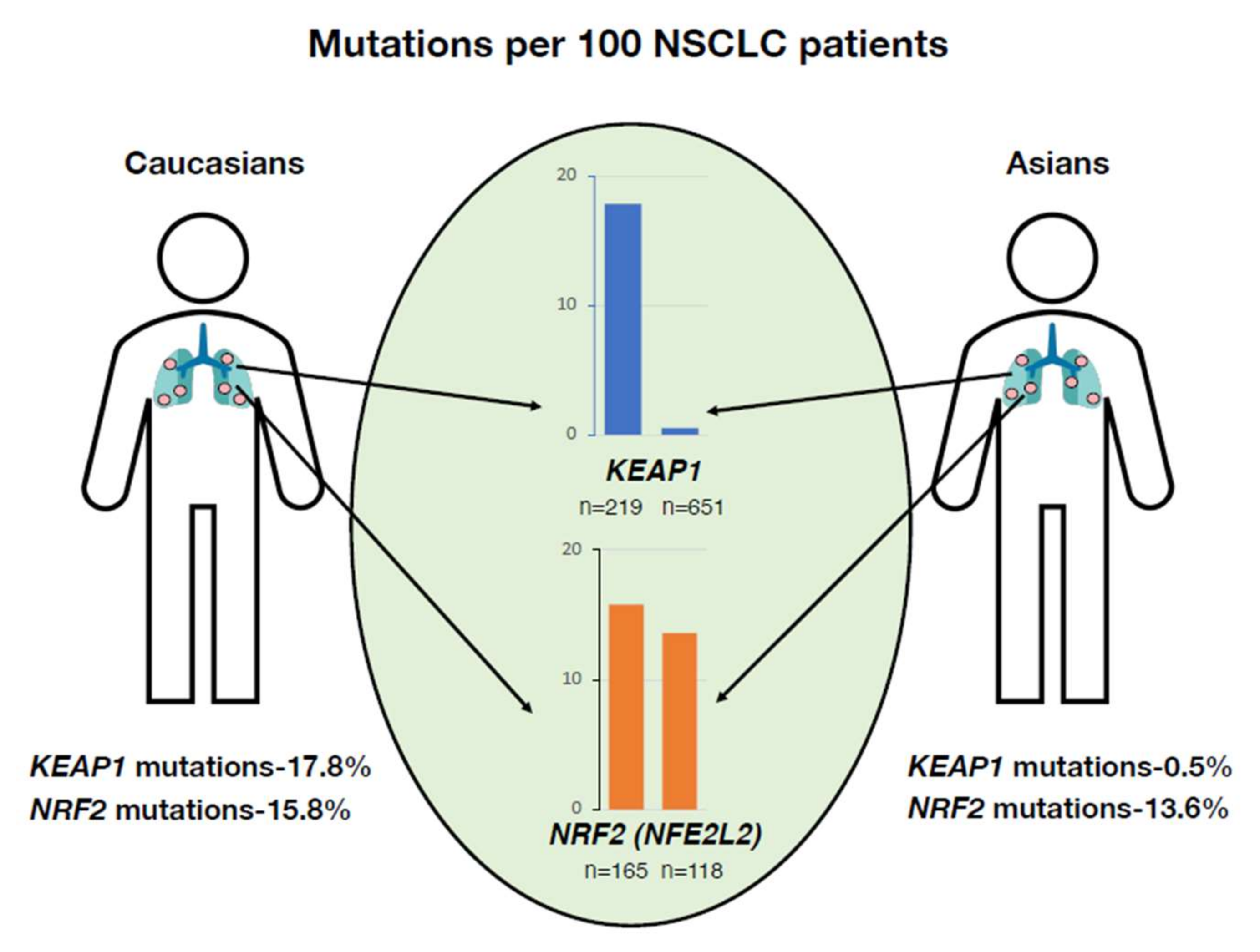 Antioxidants 11 00538 g004 550