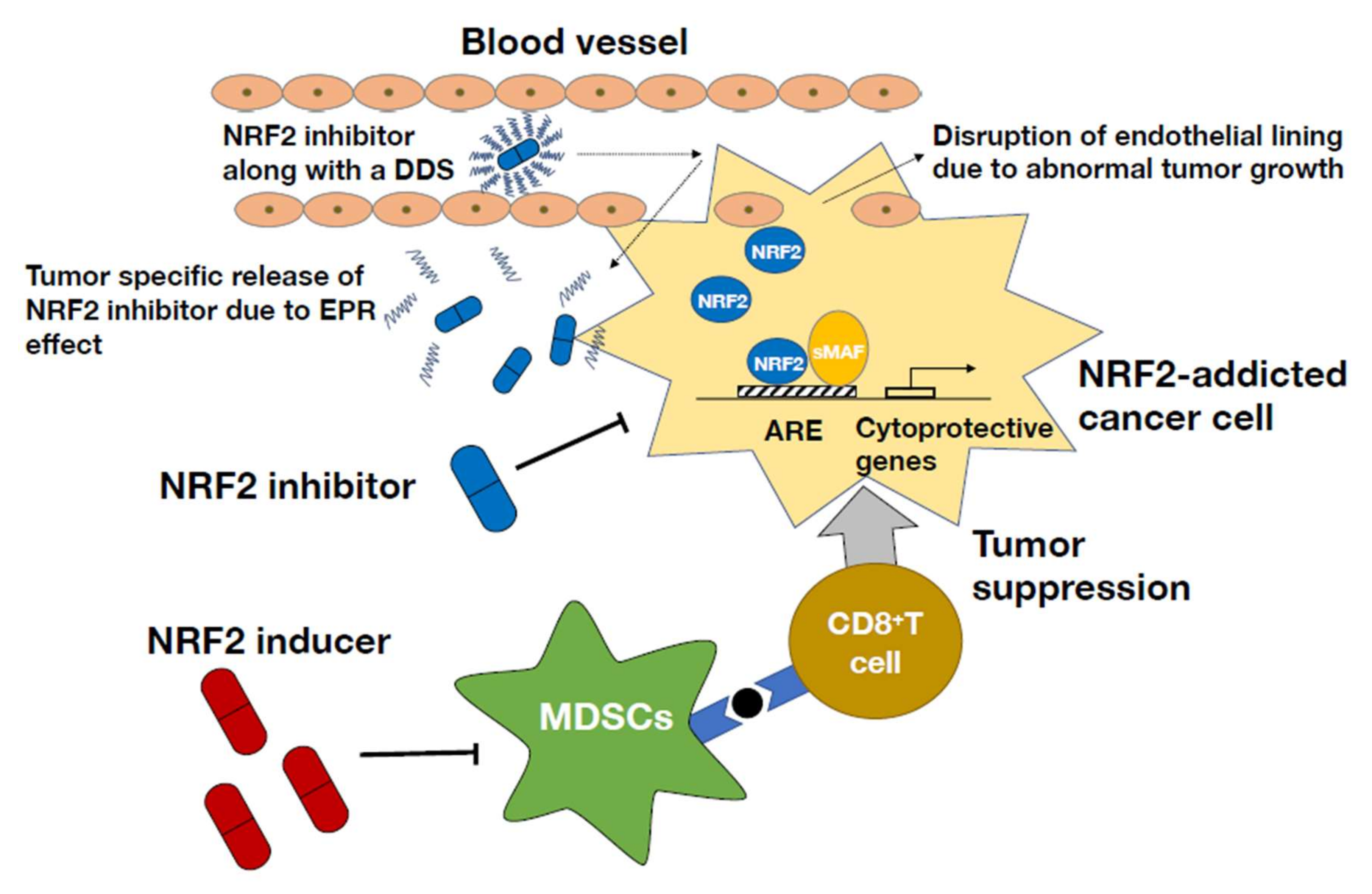 Antioxidants 11 00538 g006 550