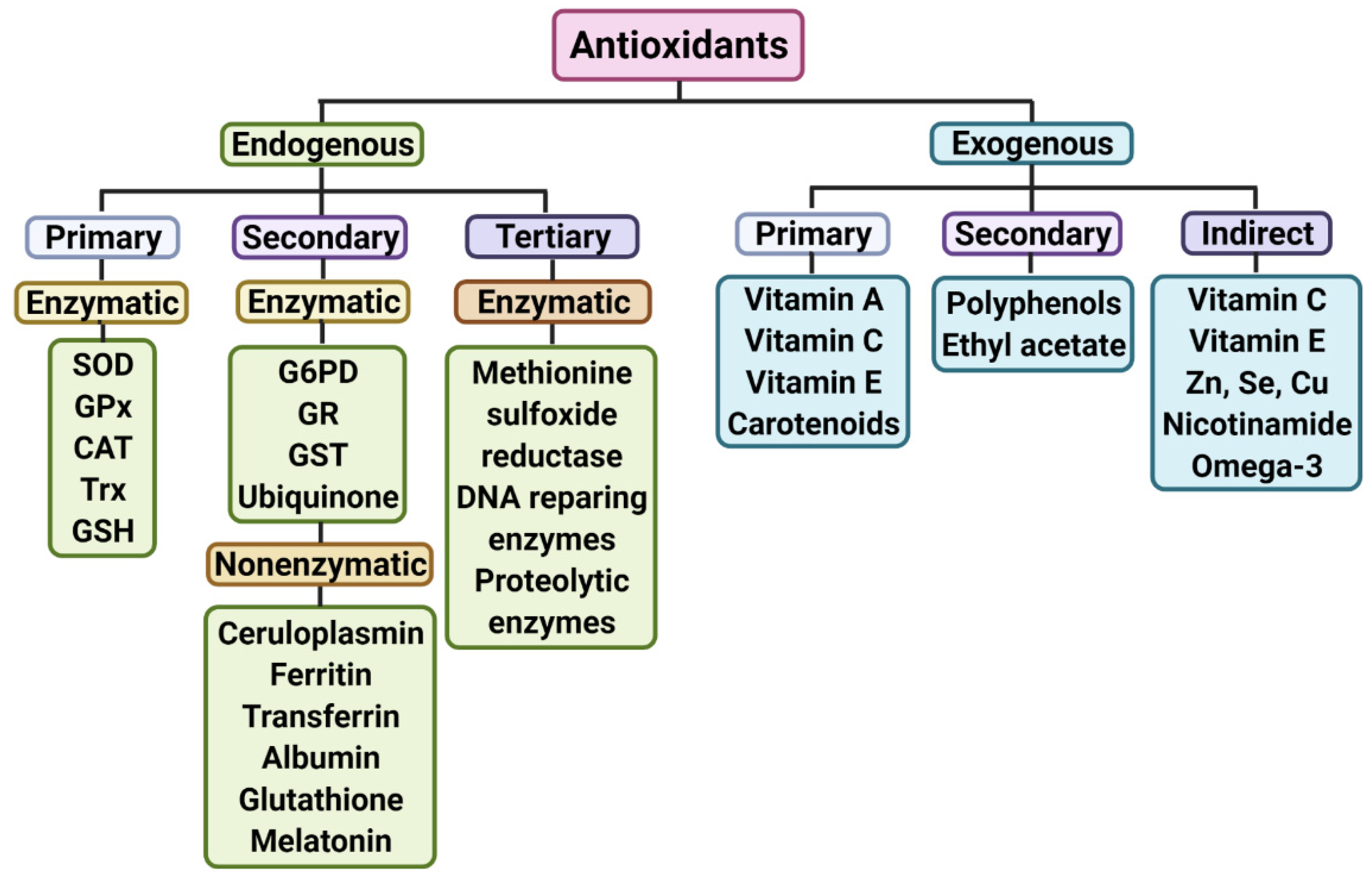 Antioxidants Free FullText Antioxidant Biomolecules and Their