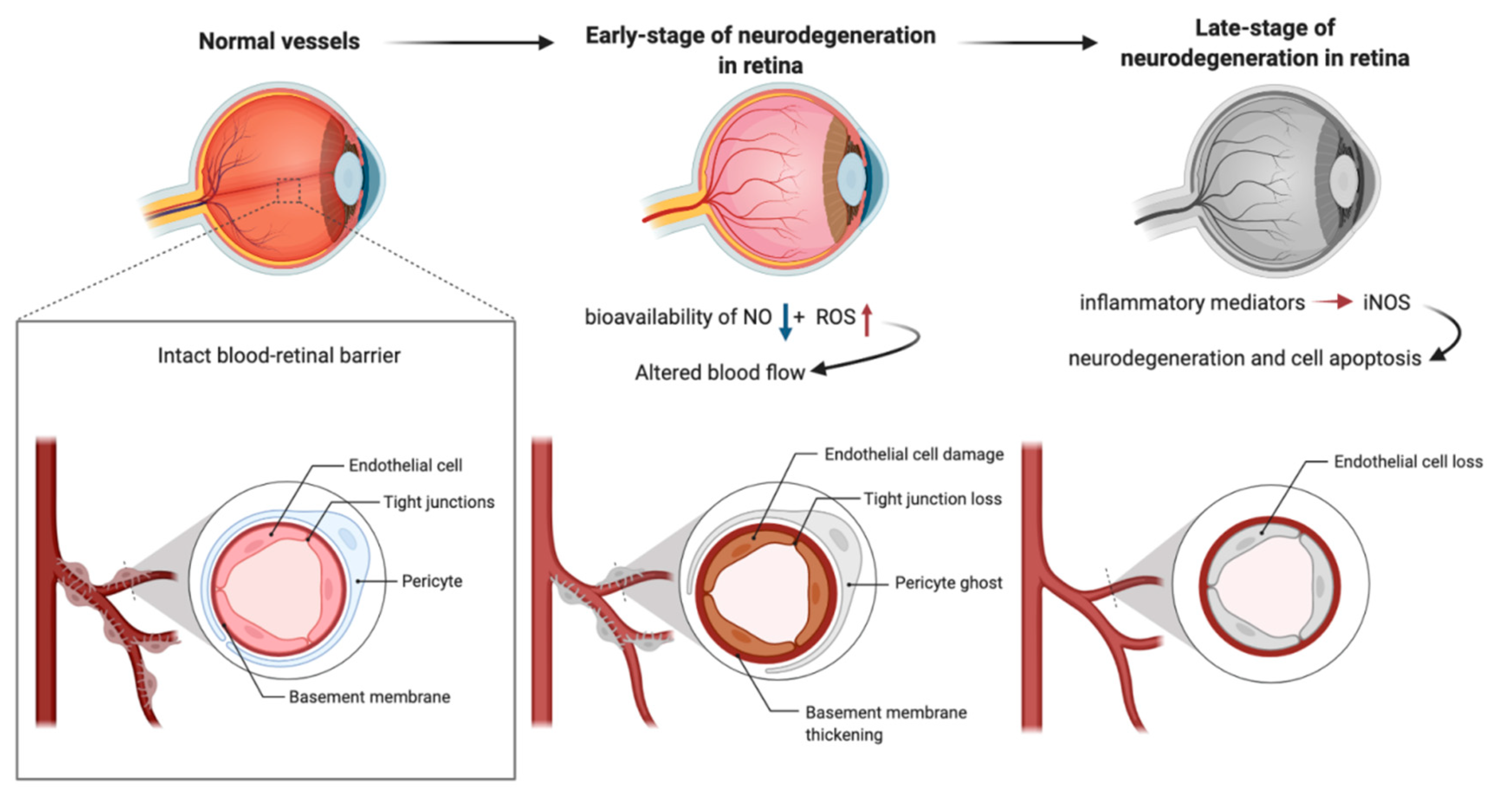 Antioxidants 11 00543 g002
