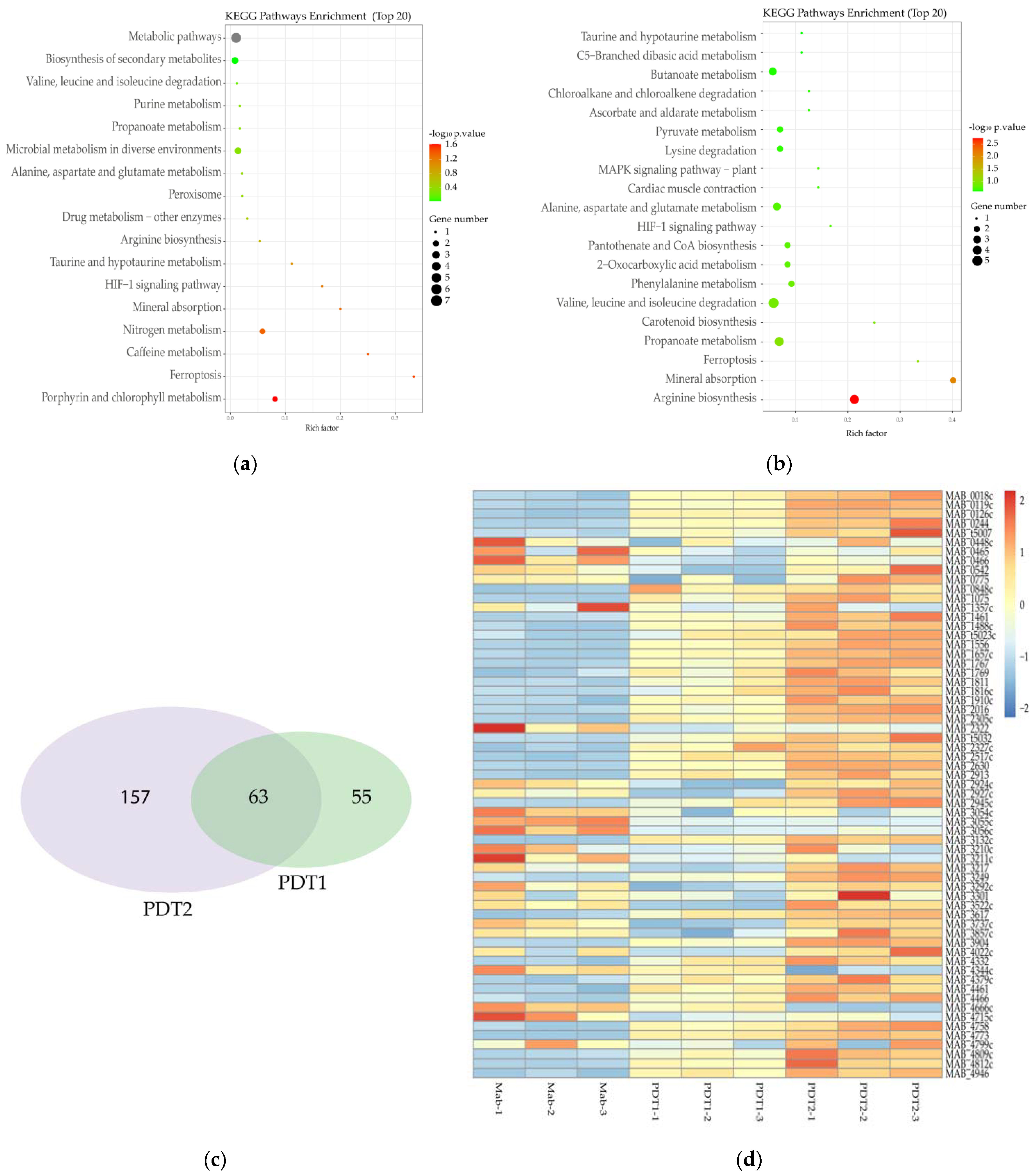 Antioxidants 11 00546 g004