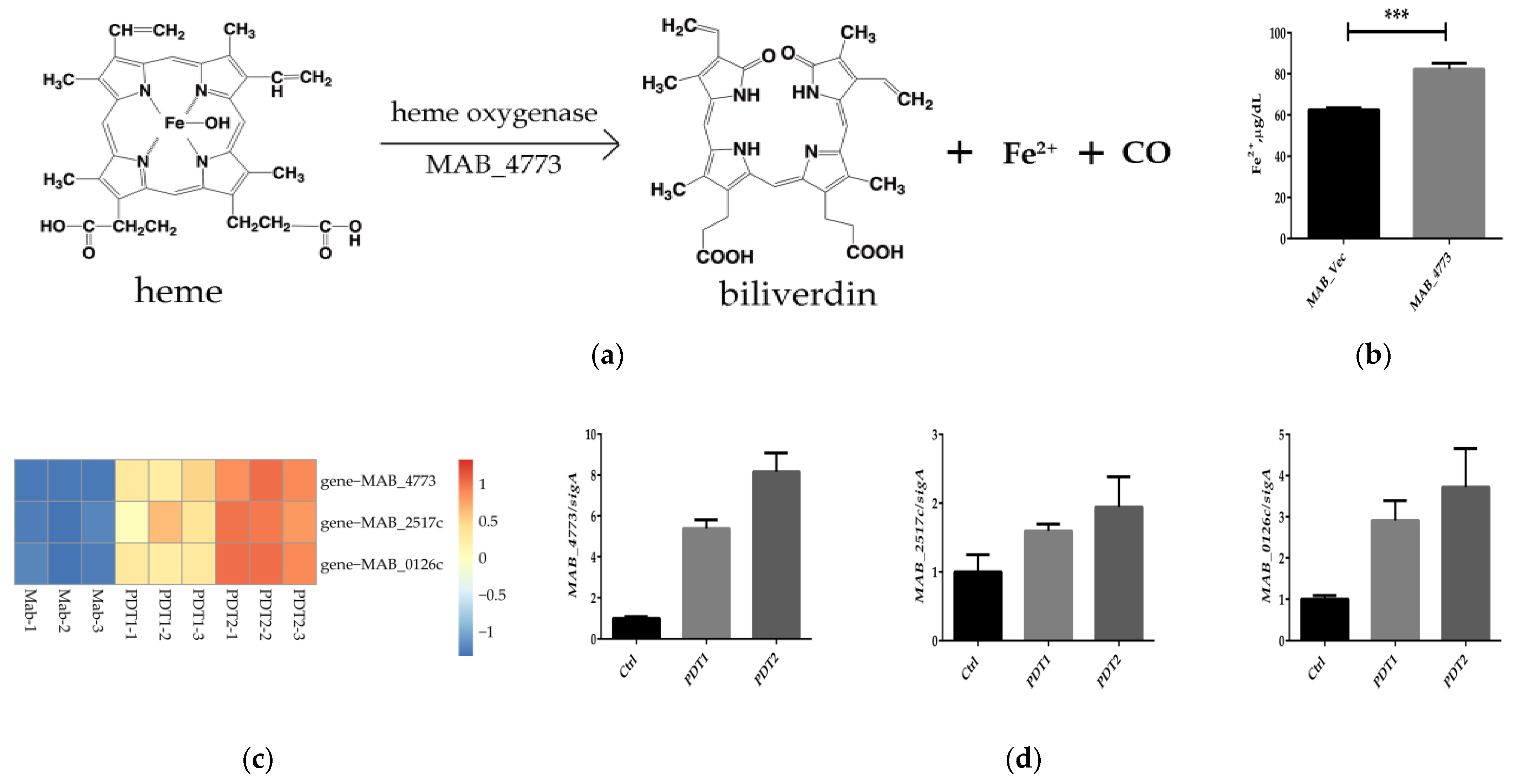 Antioxidants 11 00546 g005