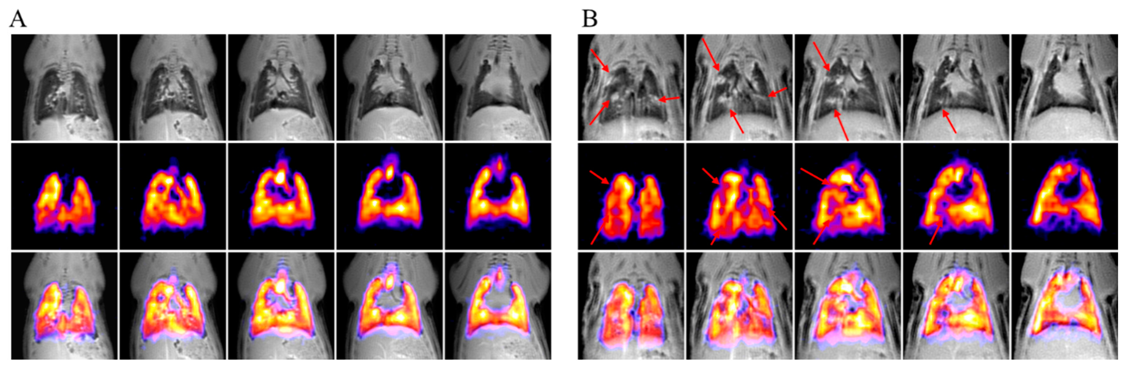 Antioxidants 11 00549 g005 Antioxidants 11 00549 g005