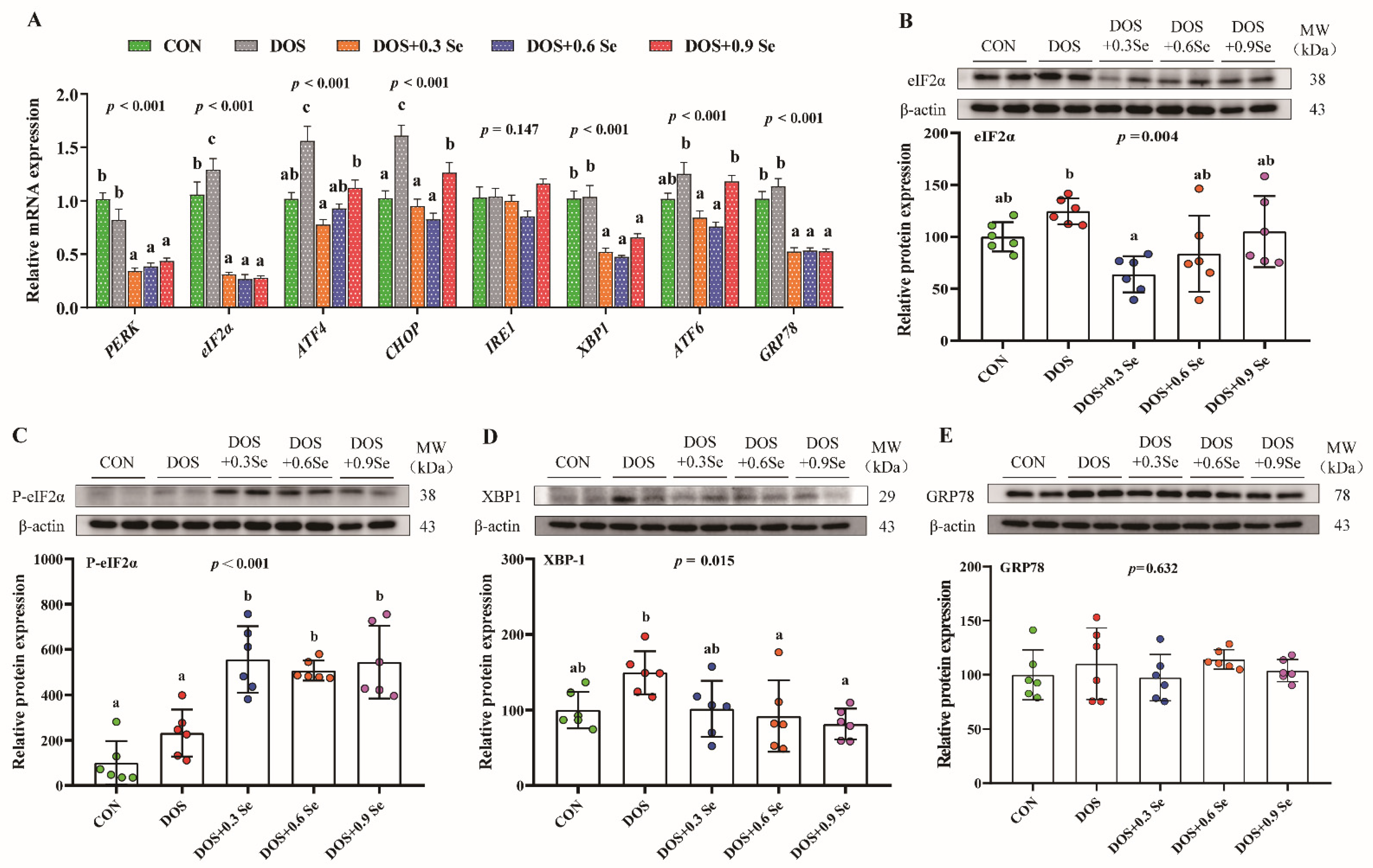 Antioxidants 11 00552 g003