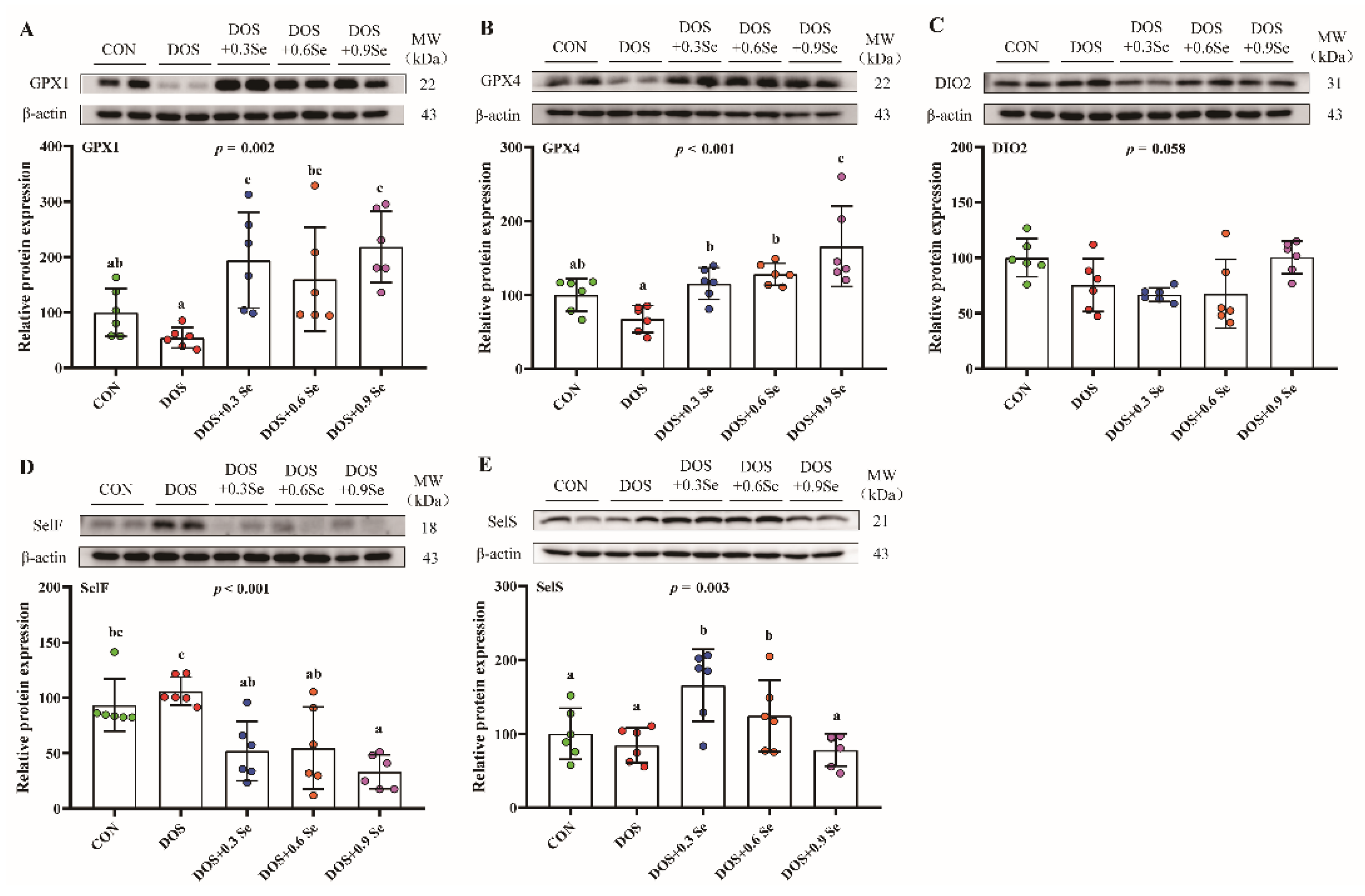 Antioxidants 11 00552 g005