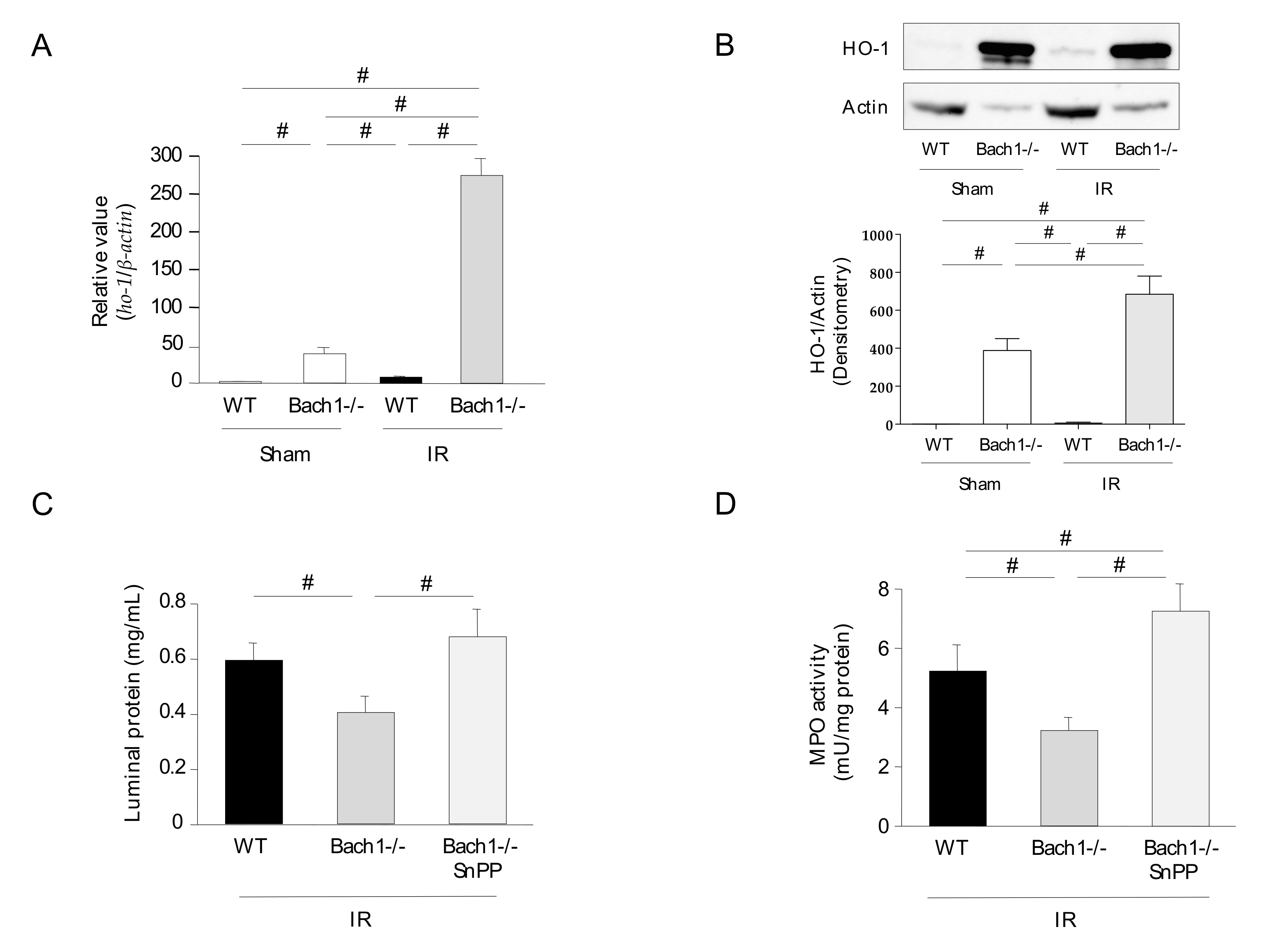 Antioxidants 11 00559 g002 Antioxidants 11 00559 g002