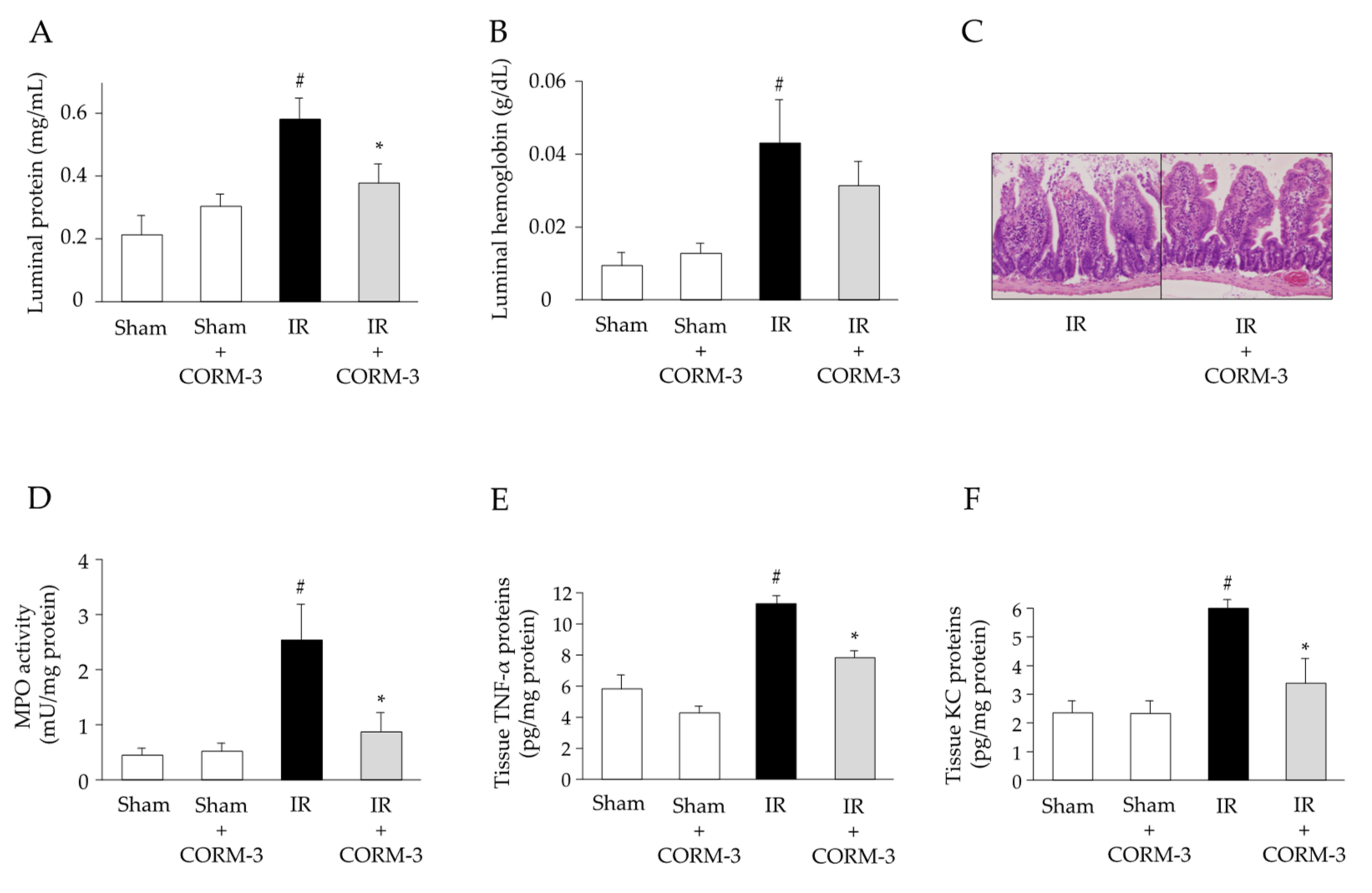 Antioxidants 11 00559 g006 Antioxidants 11 00559 g006