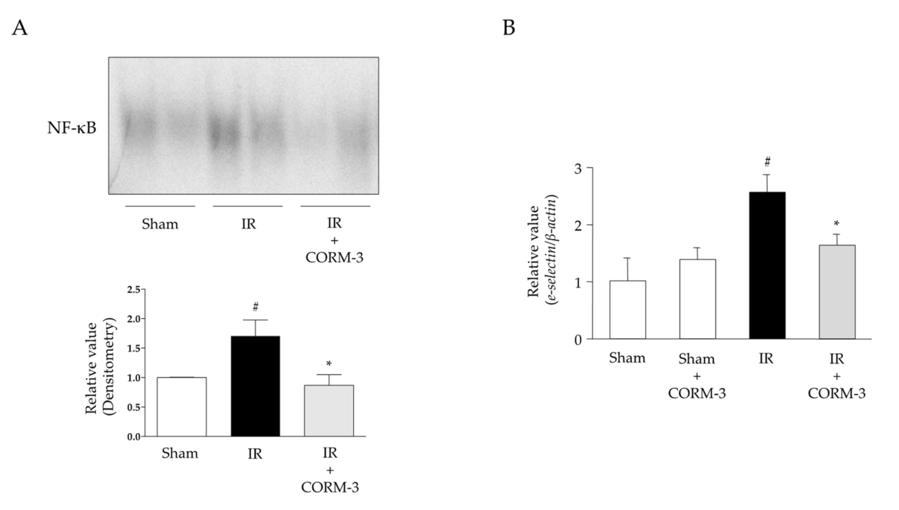 Antioxidants 11 00559 g007 Antioxidants 11 00559 g007