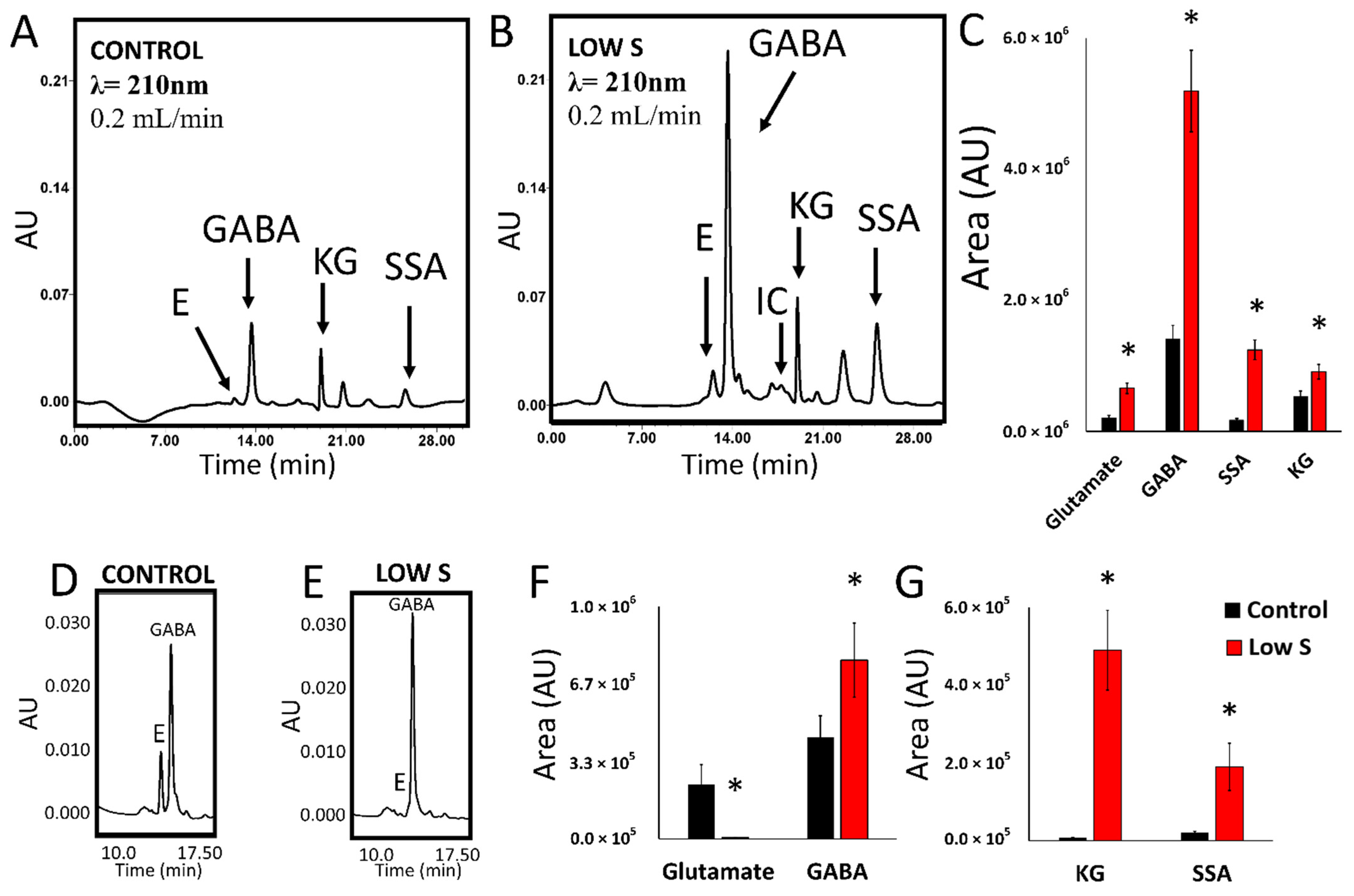 Antioxidants 11 00560 g002 Antioxidants 11 00560 g002