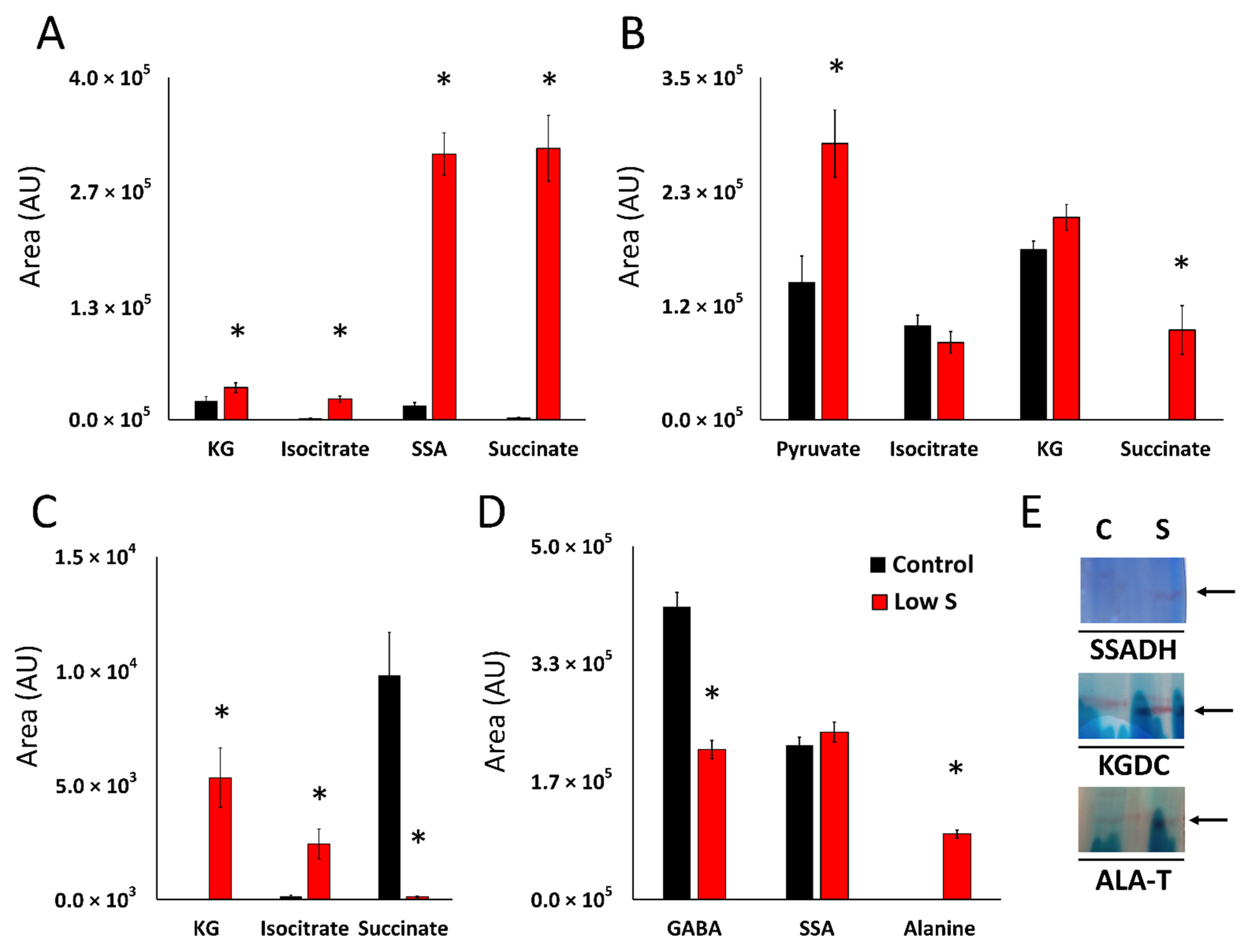 Antioxidants 11 00560 g003 Antioxidants 11 00560 g003