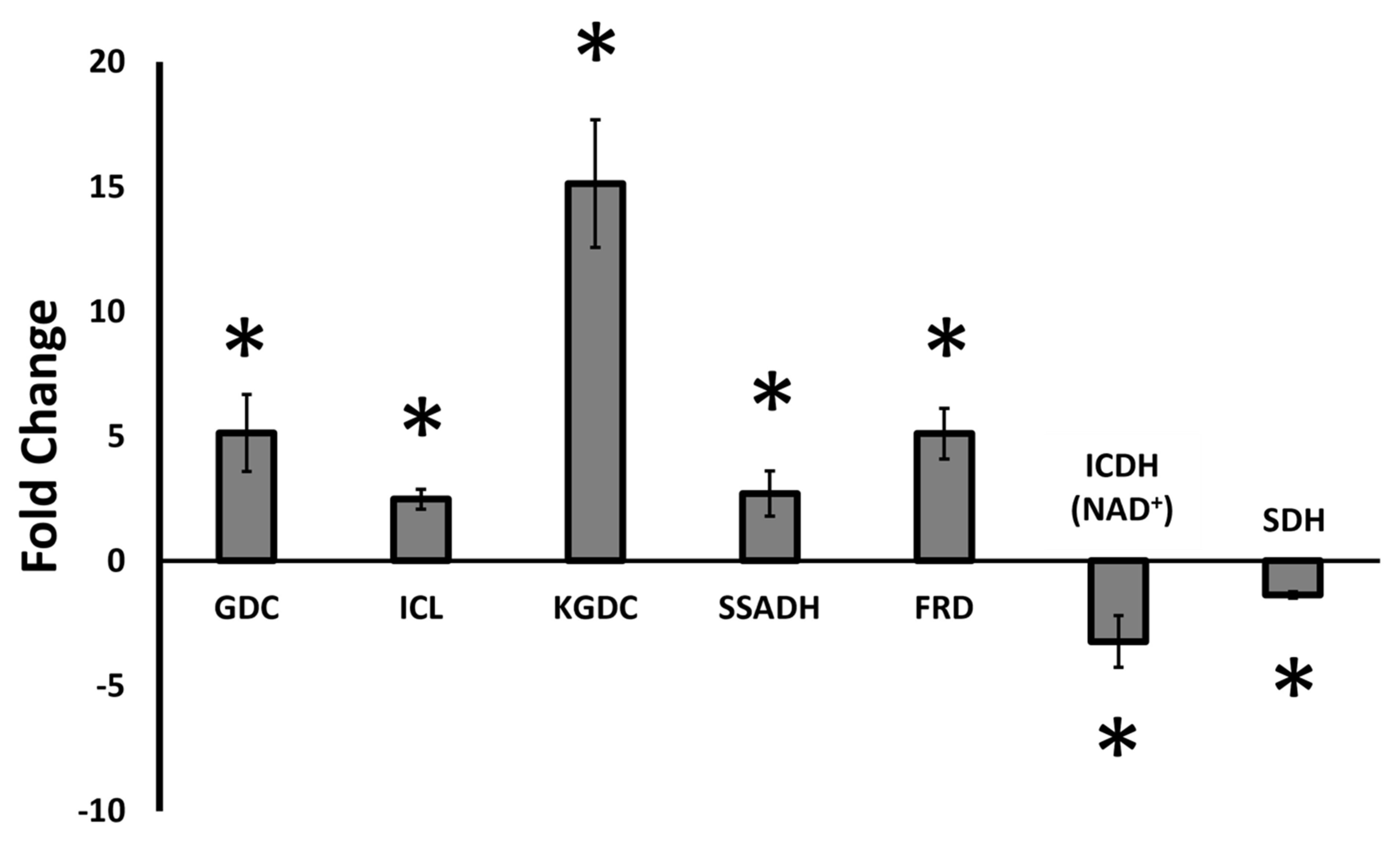 Antioxidants 11 00560 g004 Antioxidants 11 00560 g004