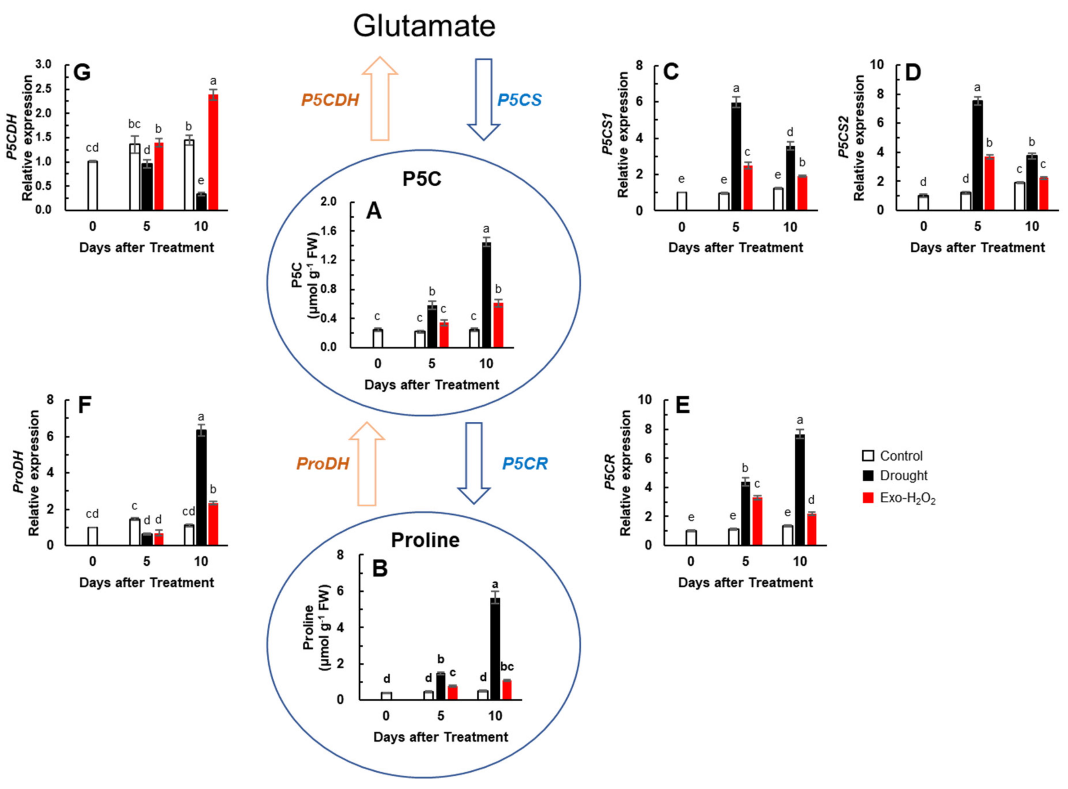 Antioxidants 11 00566 g004 550