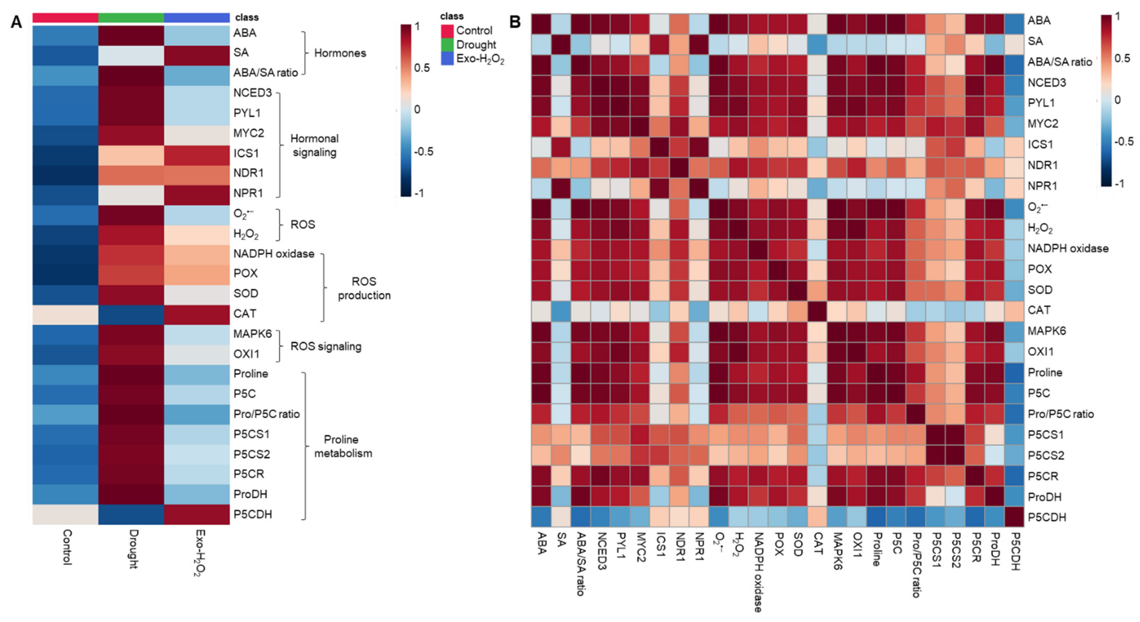 Antioxidants 11 00566 g005 550