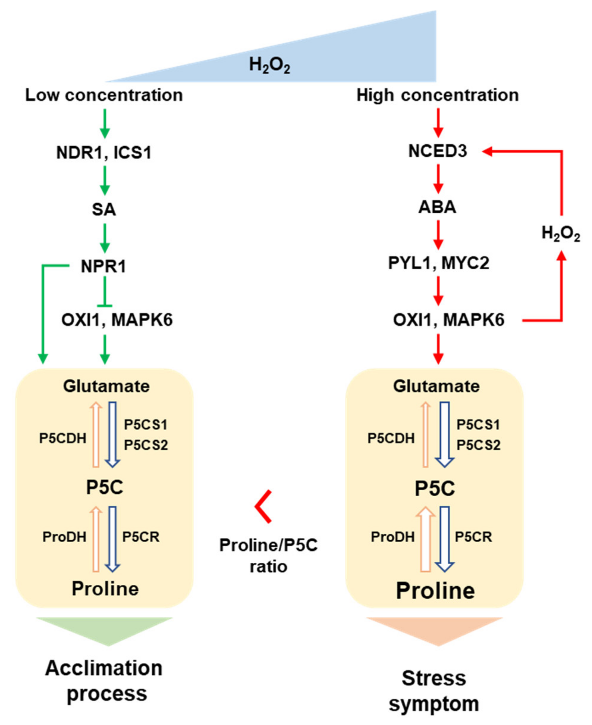 Antioxidants 11 00566 g006 550