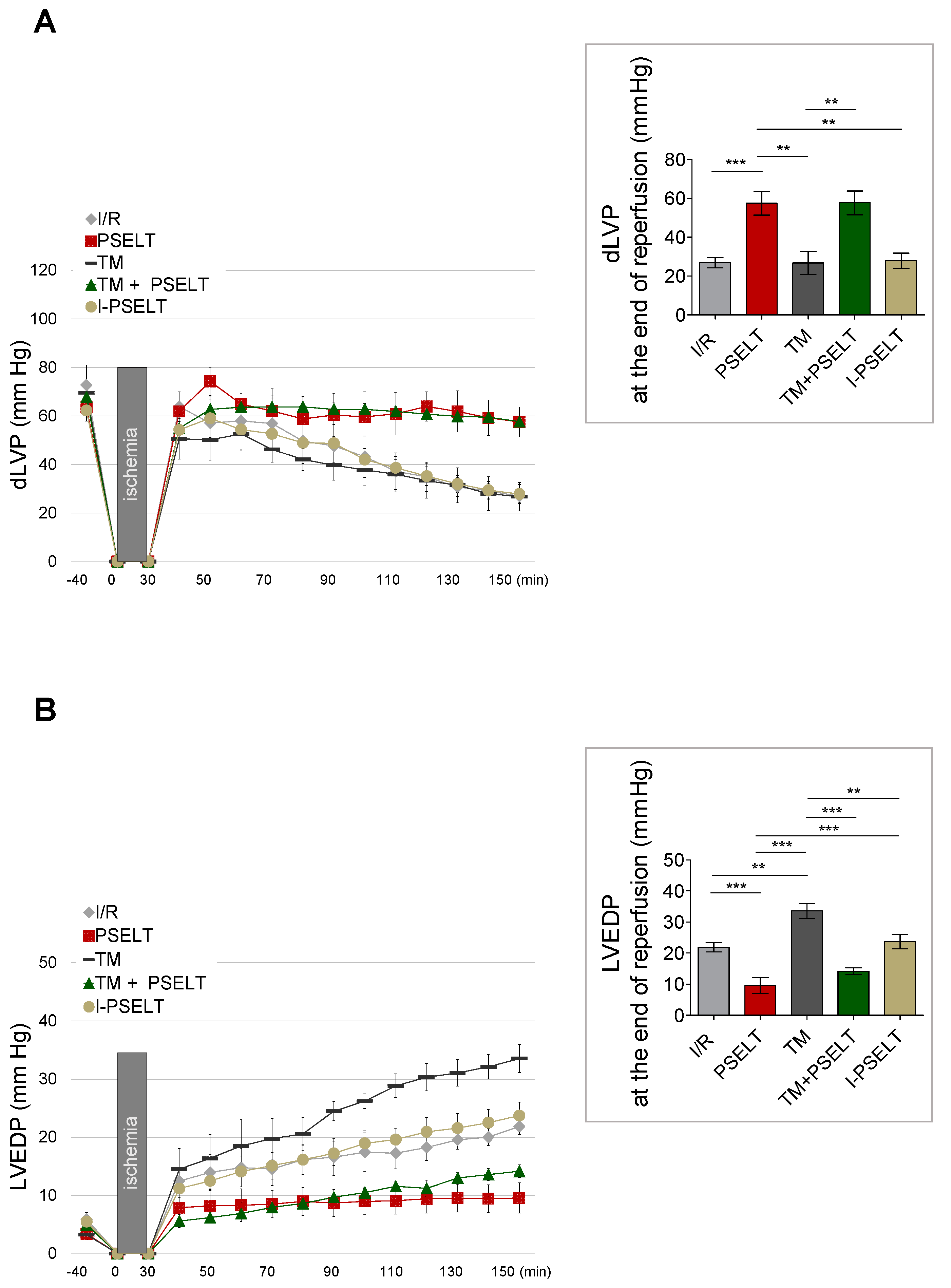 Antioxidants 11 00571 g001 550