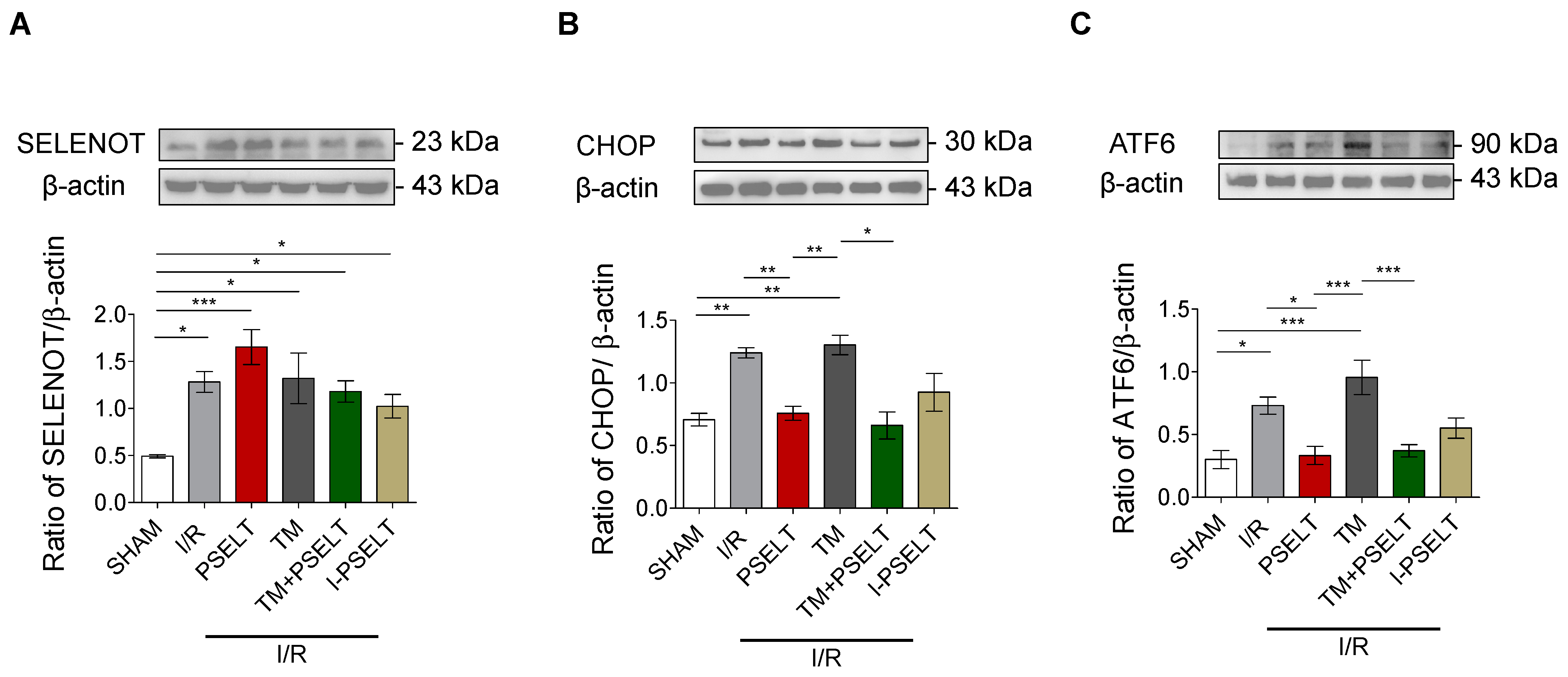 Antioxidants 11 00571 g004 550