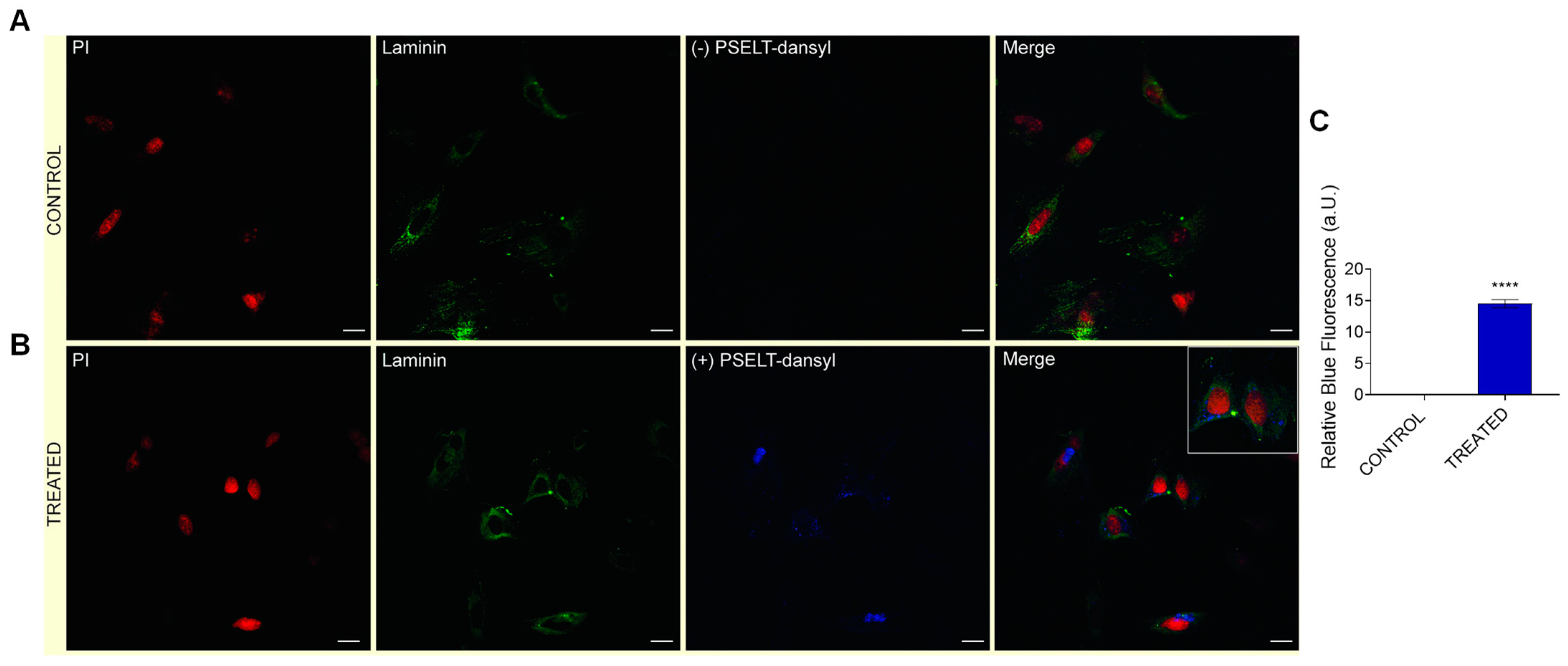 Antioxidants 11 00571 g006 550