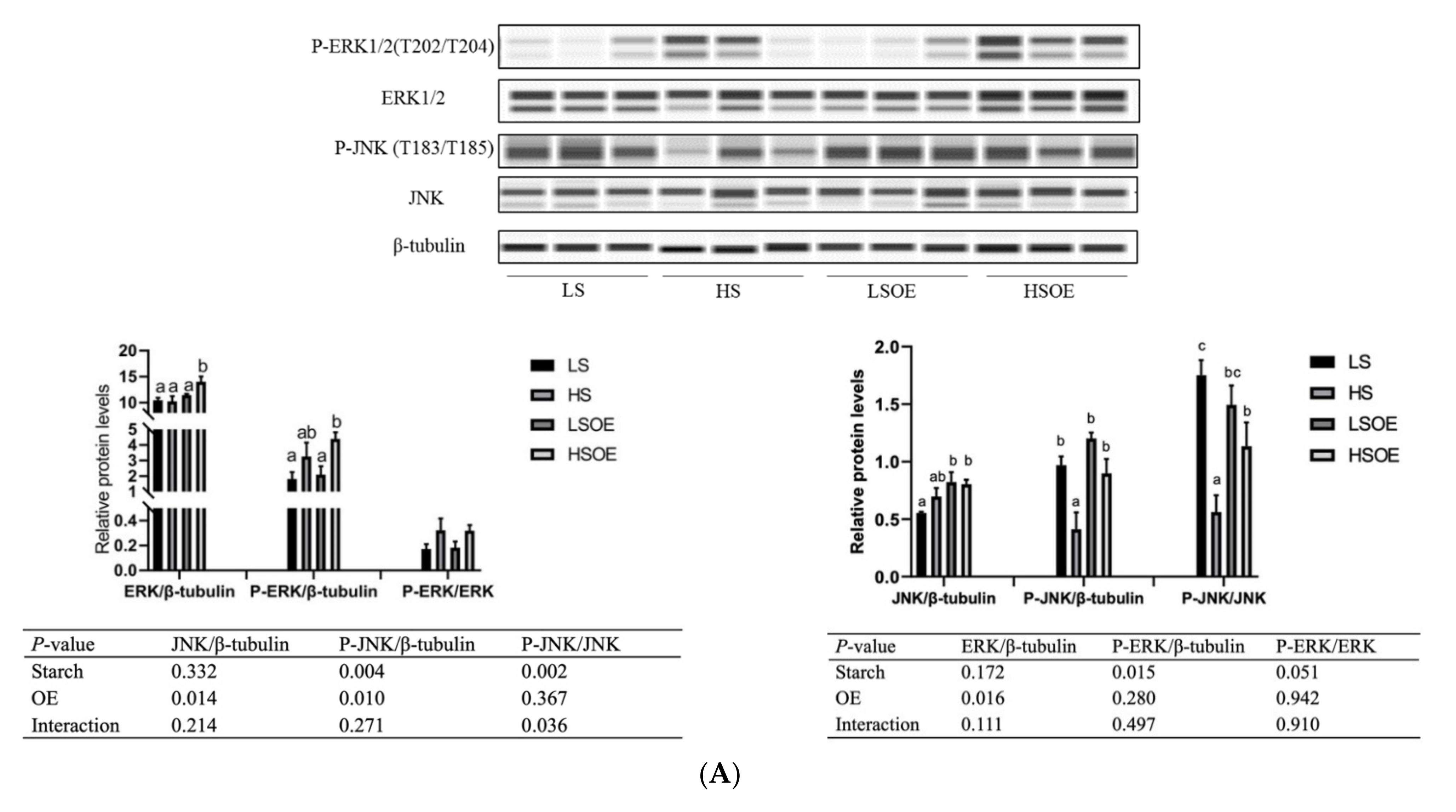Antioxidants 11 00577 g002a