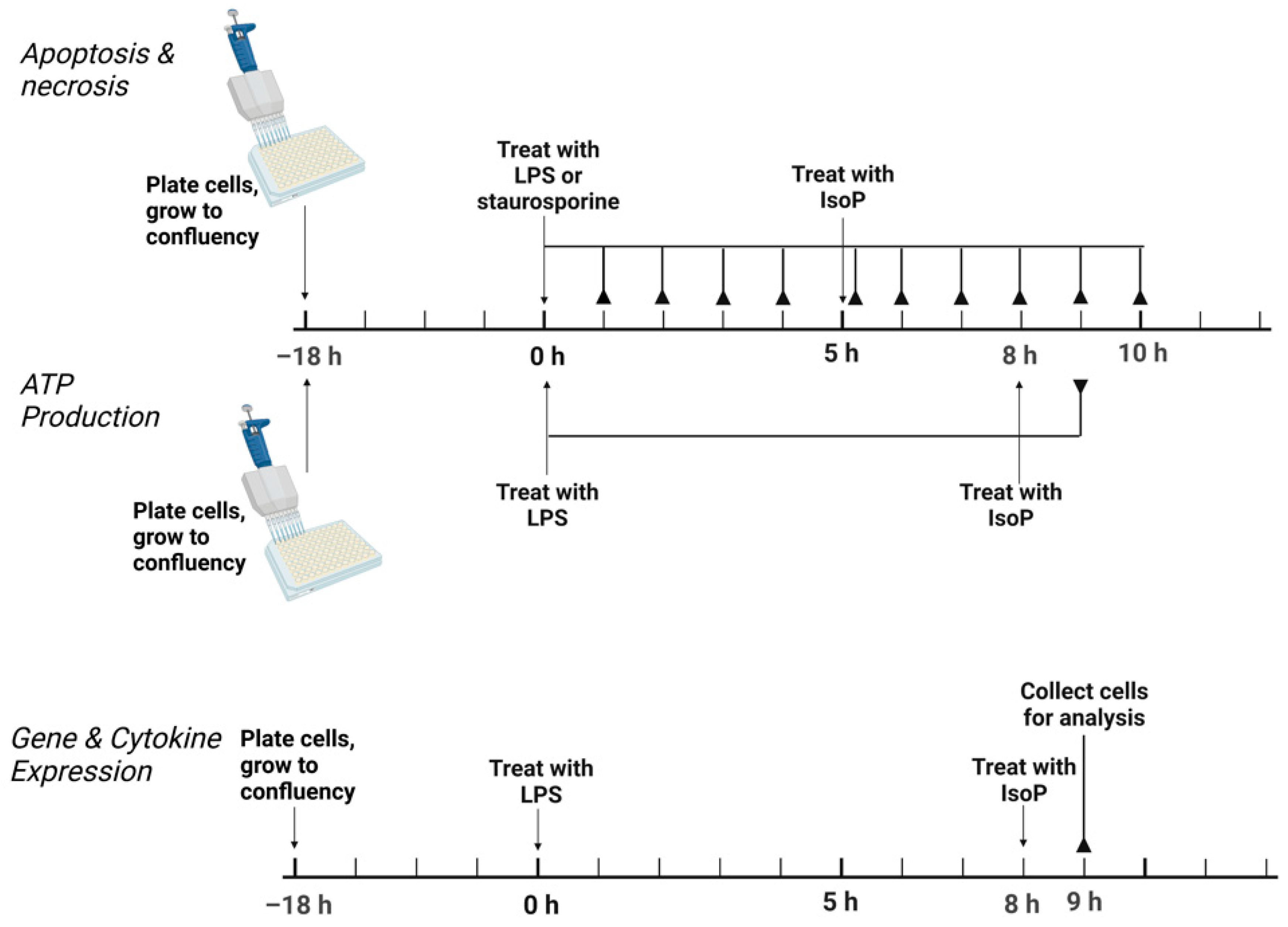 Antioxidants 11 00586 g001 Antioxidants 11 00586 g001