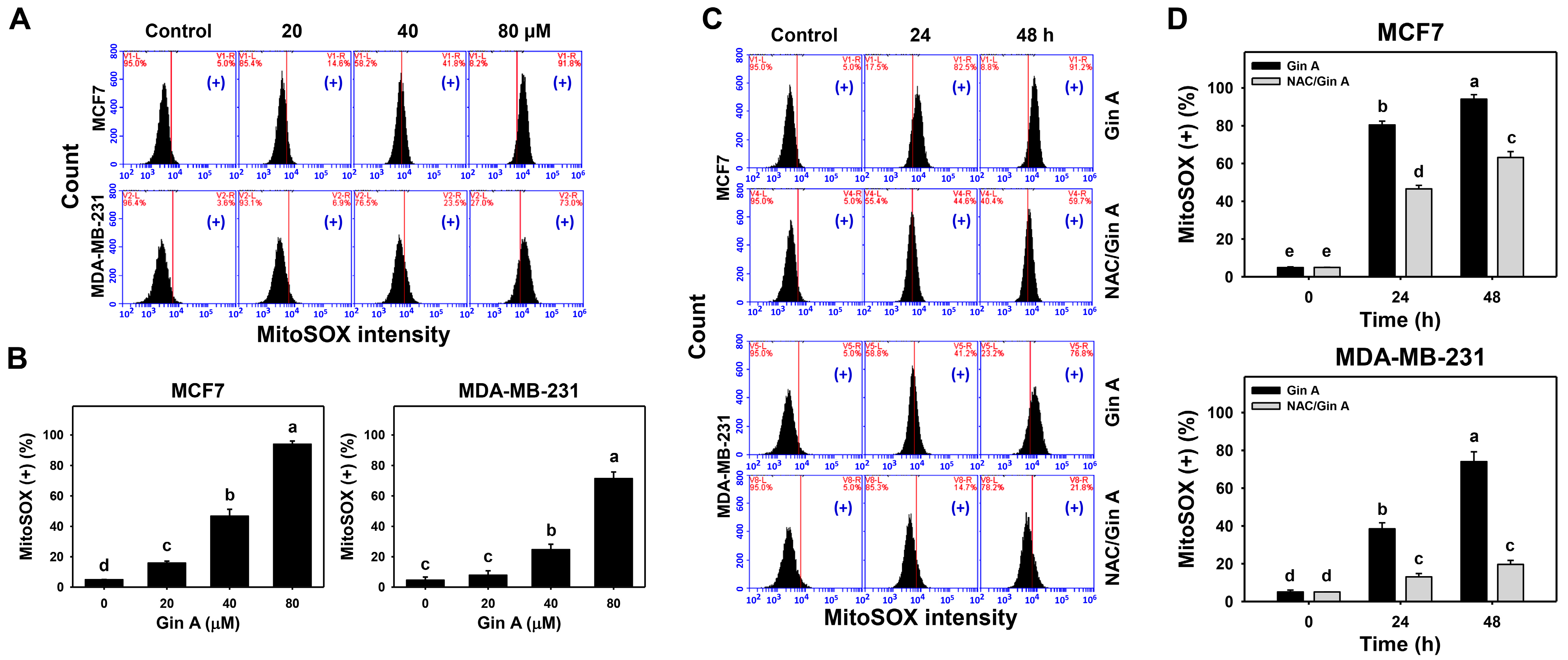 Antioxidants 11 00587 g004