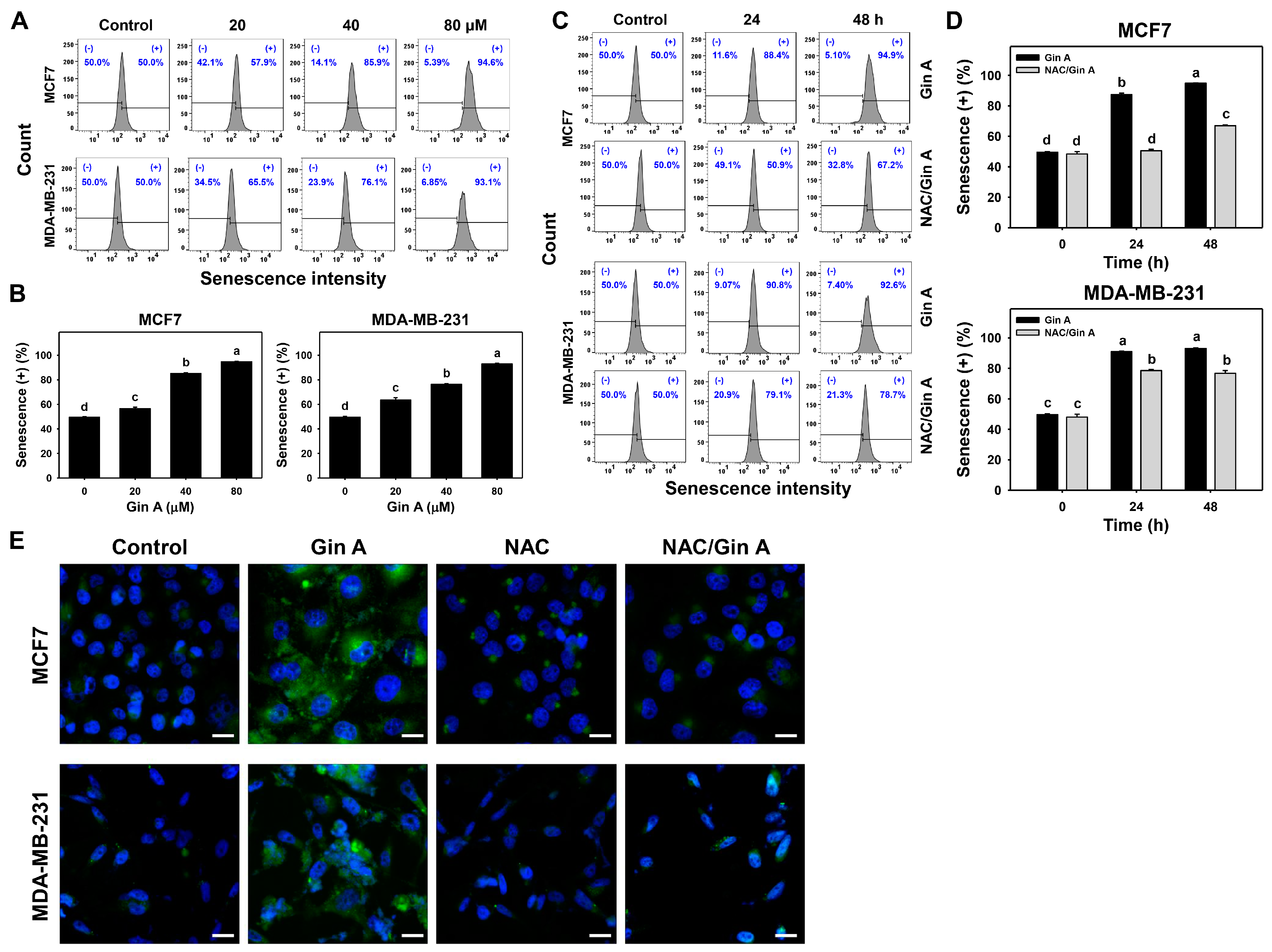 Antioxidants 11 00587 g005