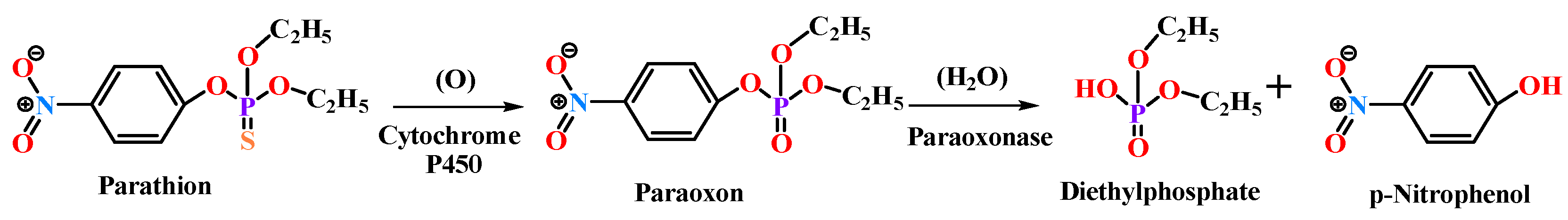 Antioxidants 11 00590 g002 550