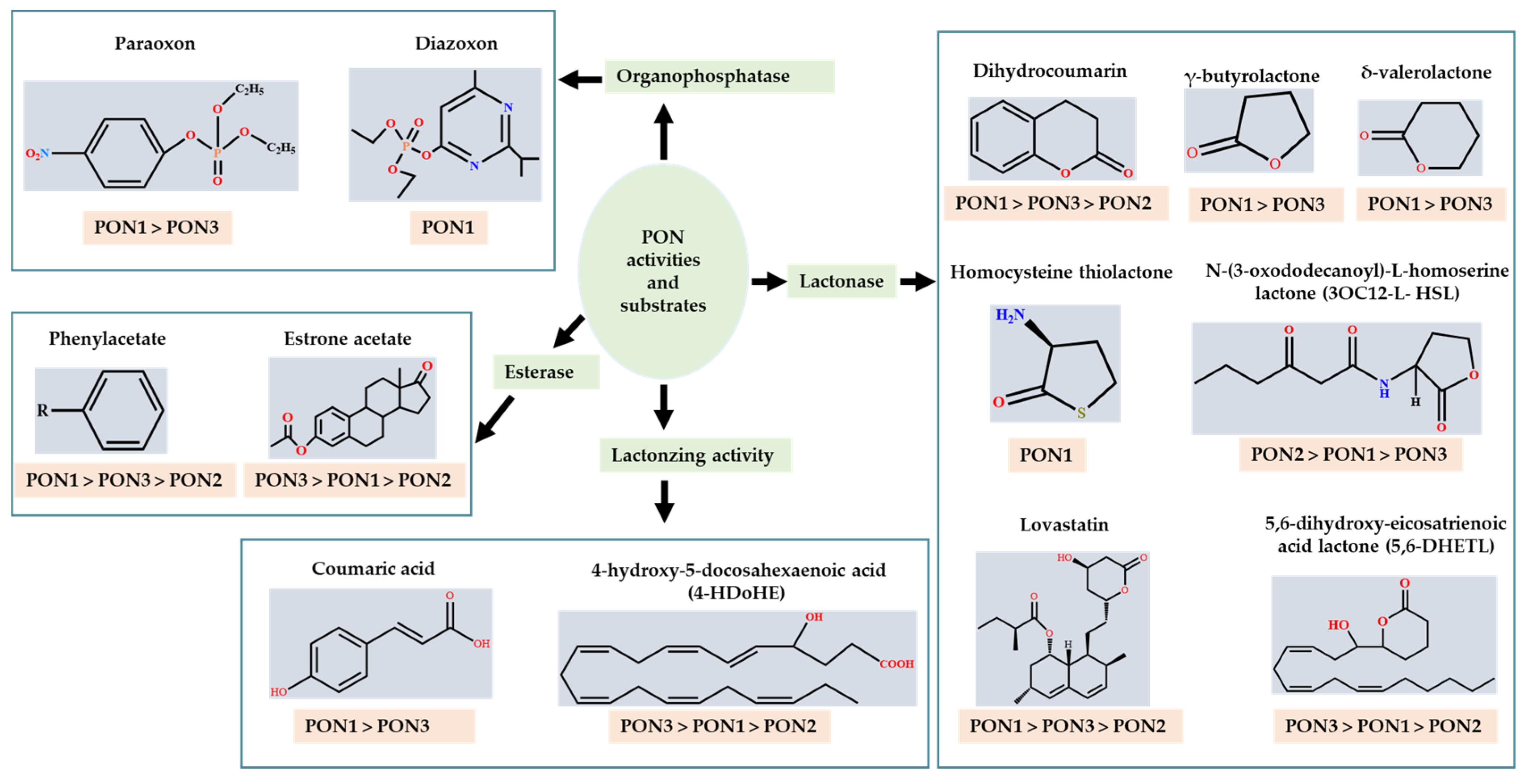 Antioxidants 11 00590 g003 550