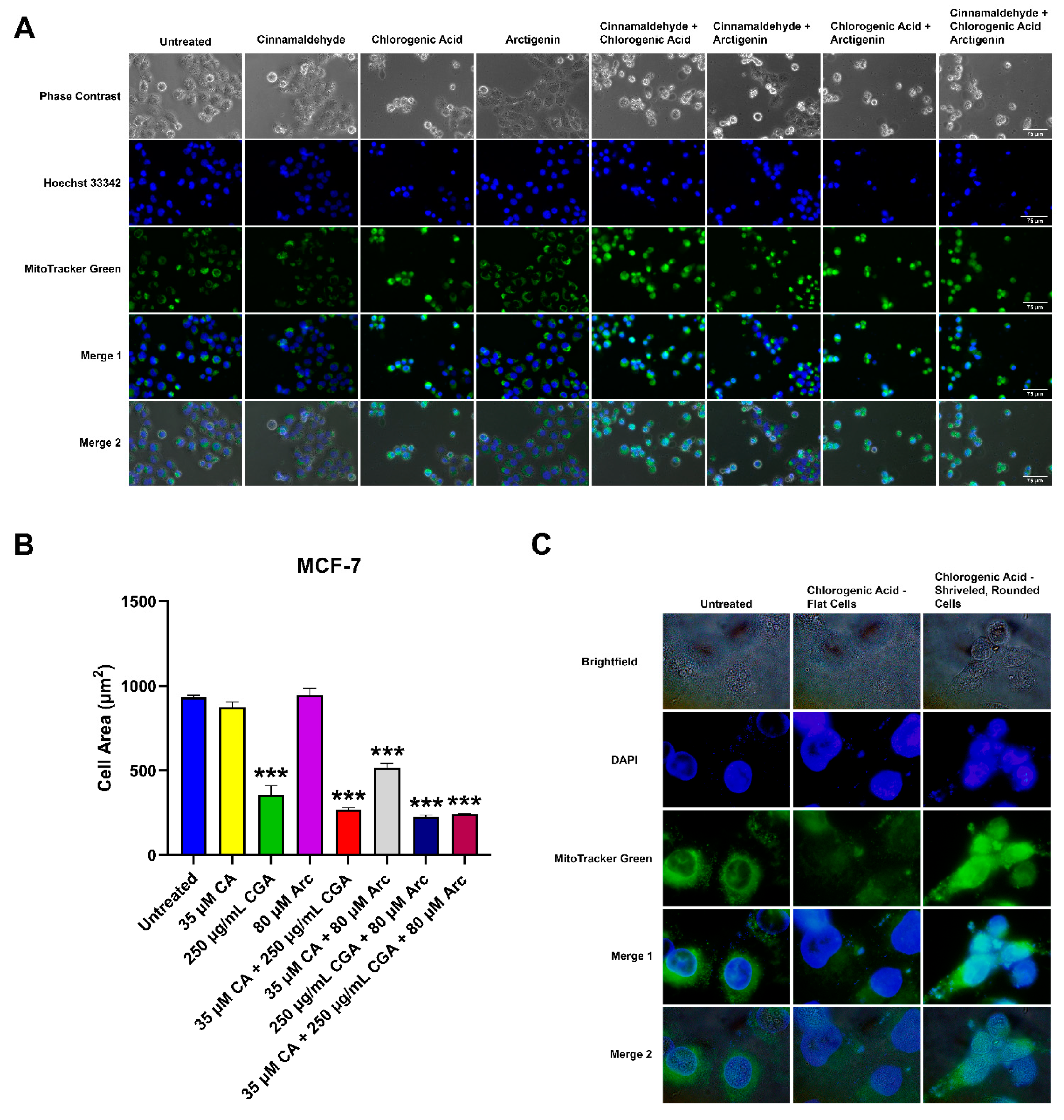 Antioxidants 11 00591 g008 Antioxidants 11 00591 g008