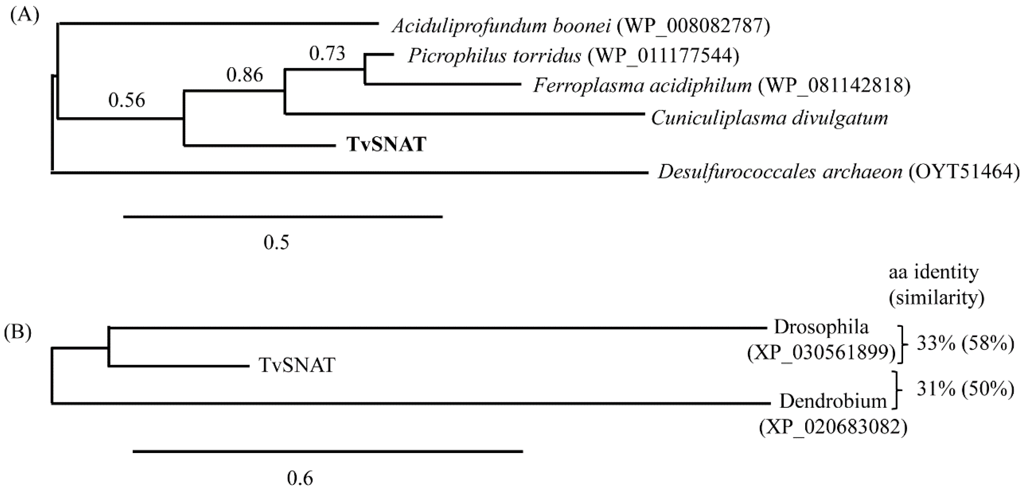 Antioxidants 11 00596 g005 550