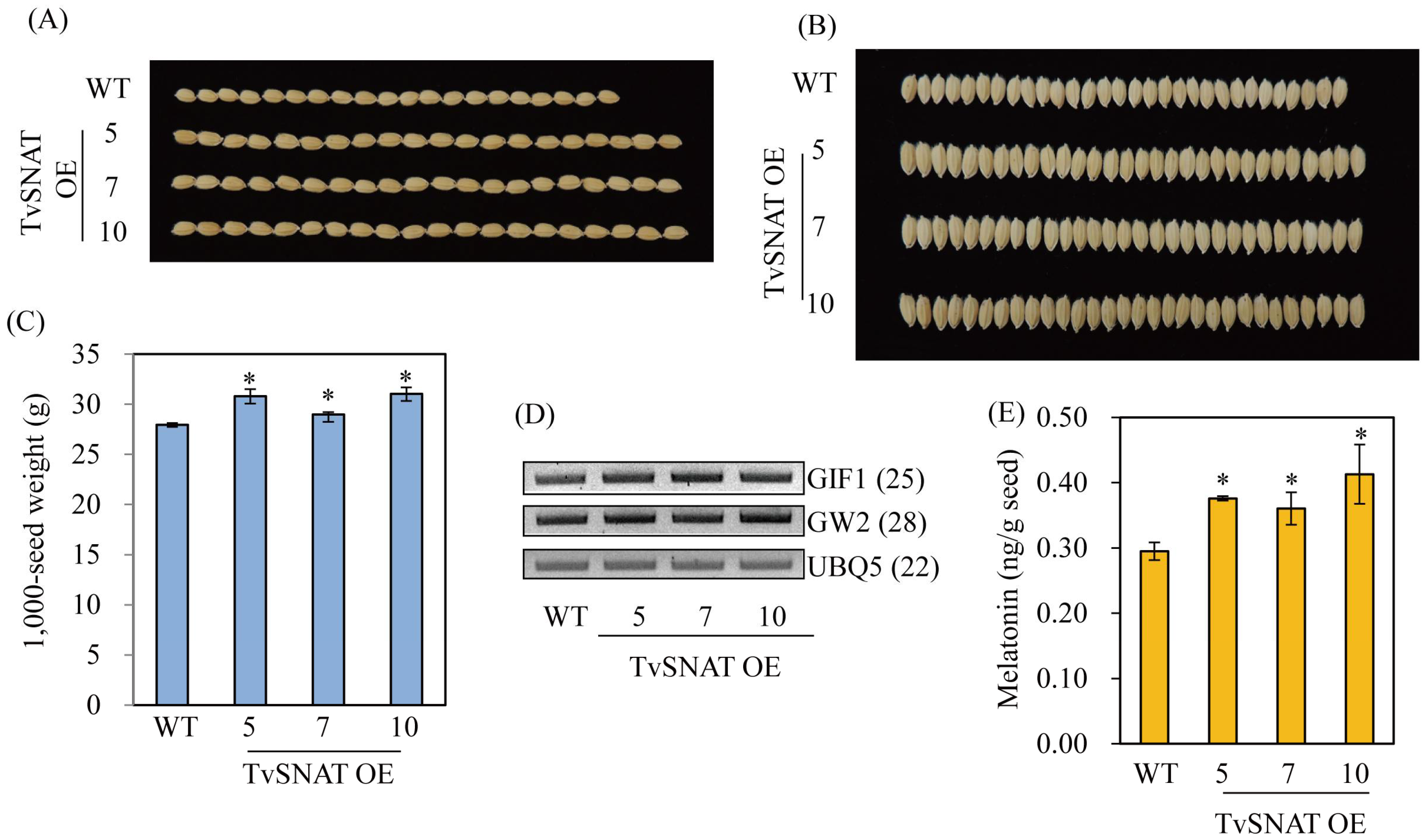Antioxidants 11 00596 g007 550