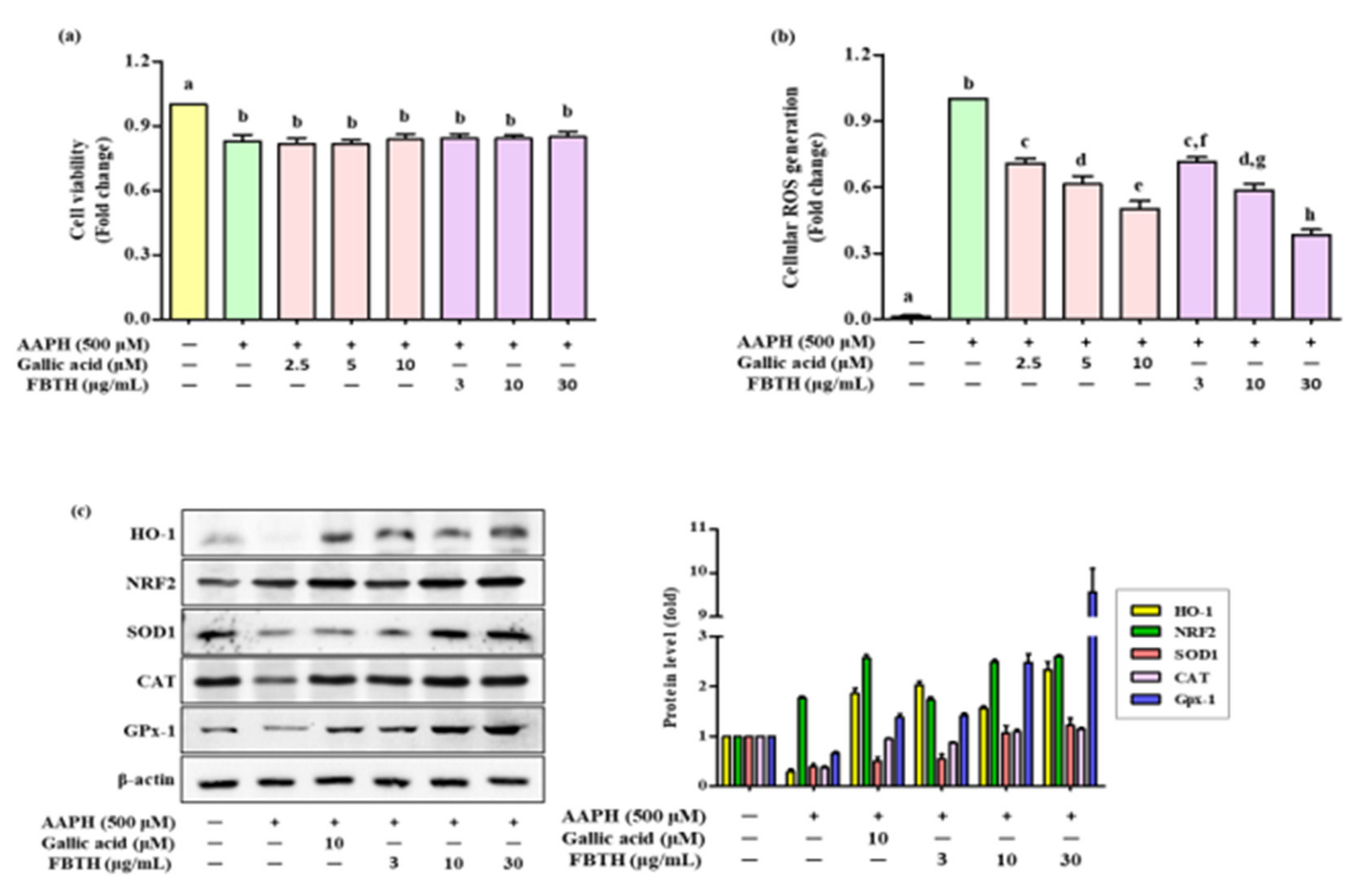 Antioxidants 11 00599 g002 550
