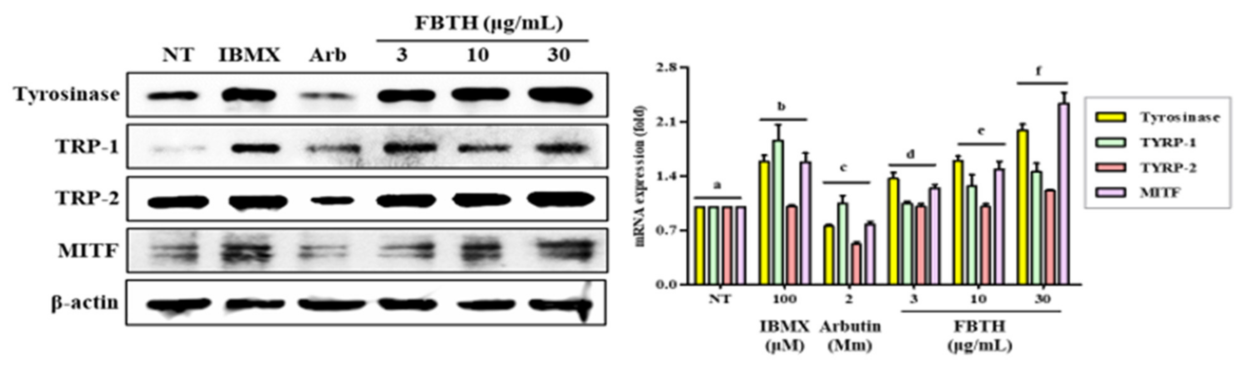 Antioxidants 11 00599 g004 550