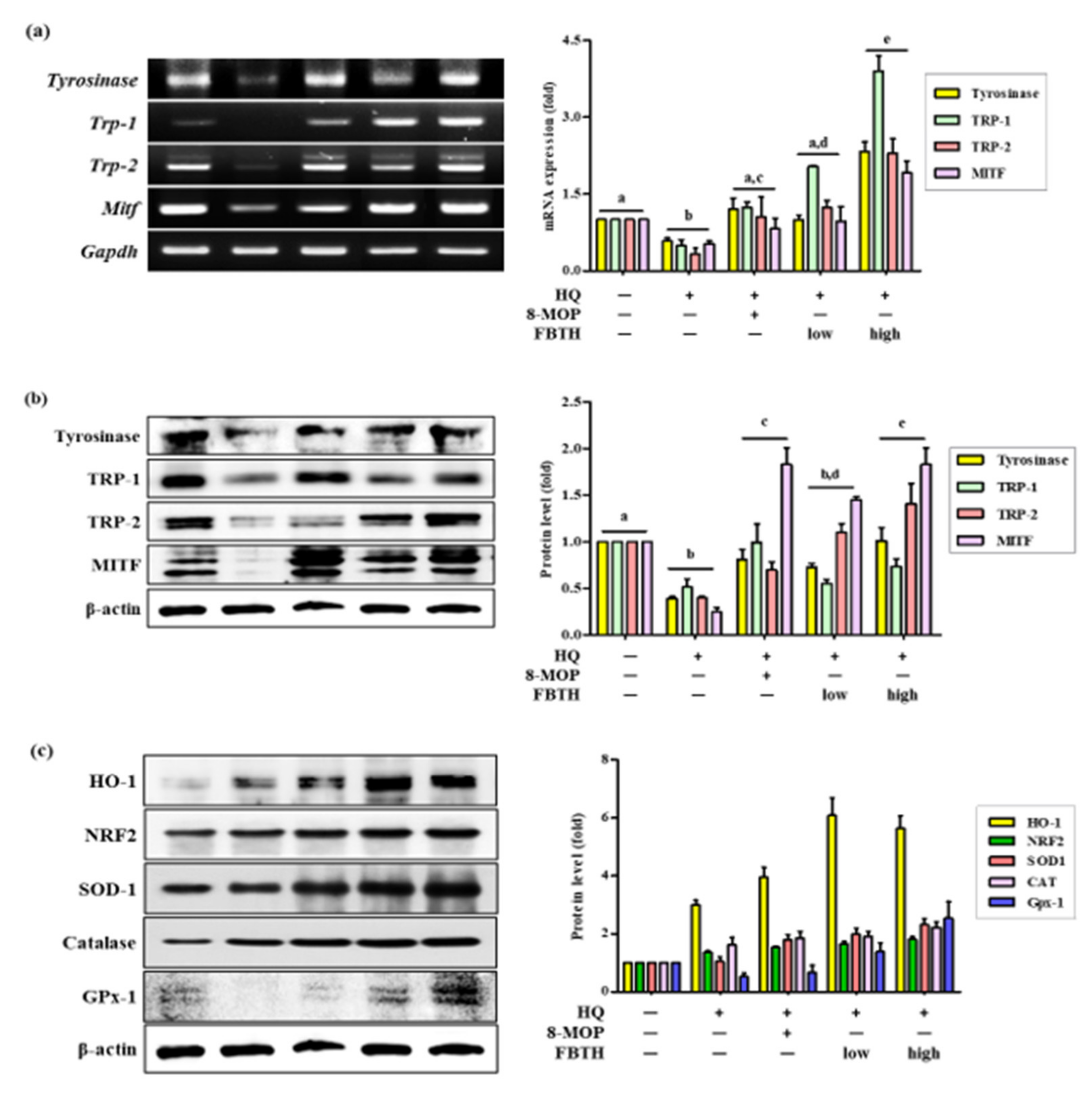 Antioxidants 11 00599 g007 550