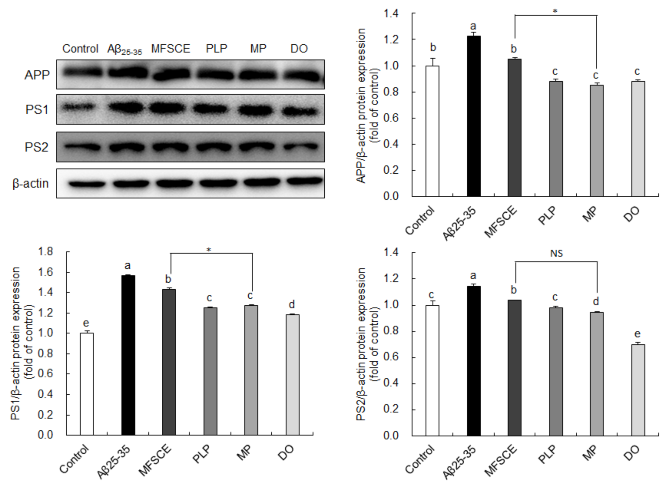 Antioxidants 11 00601 g006 Antioxidants 11 00601 g006