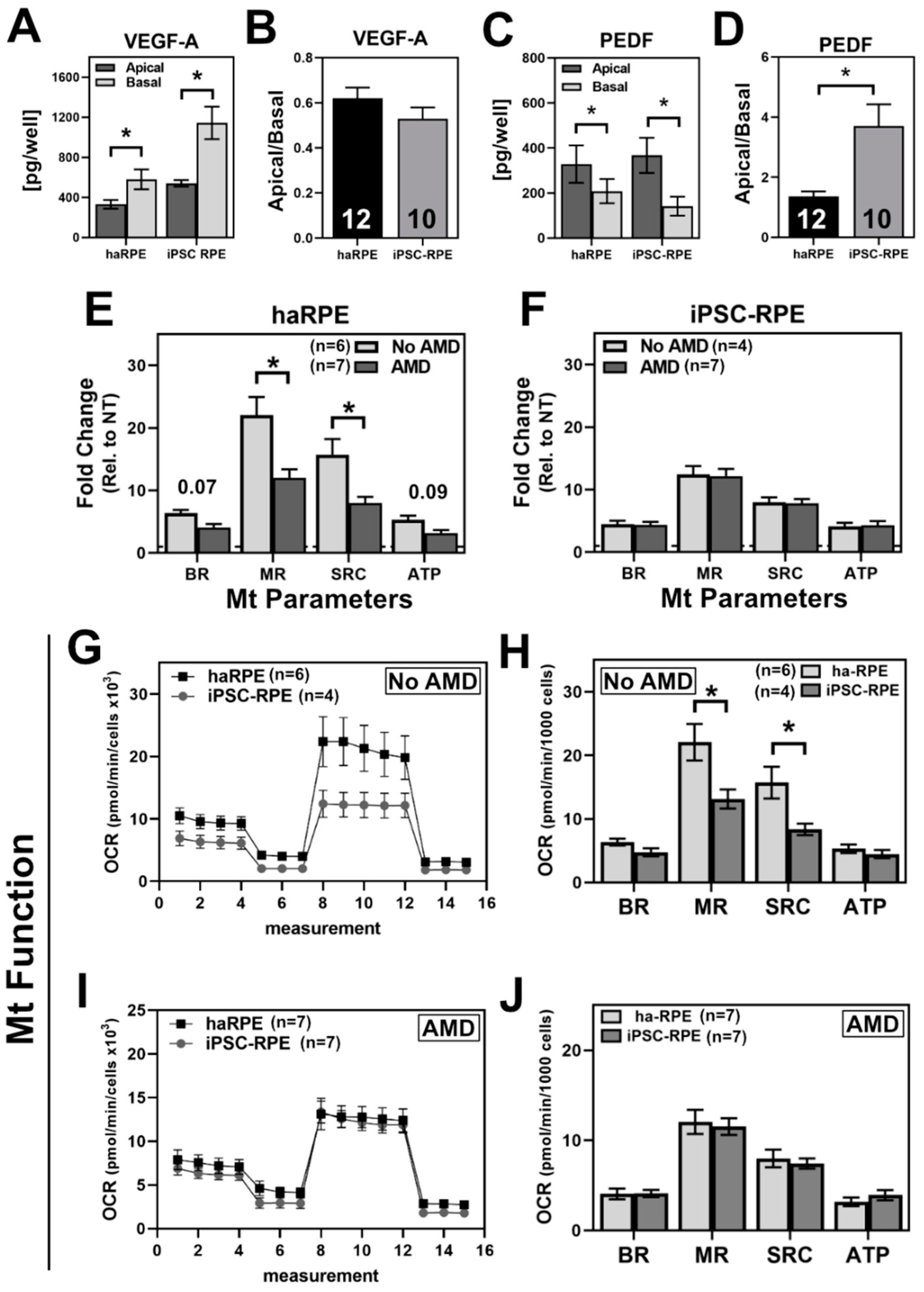 Antioxidants 11 00605 g001 550