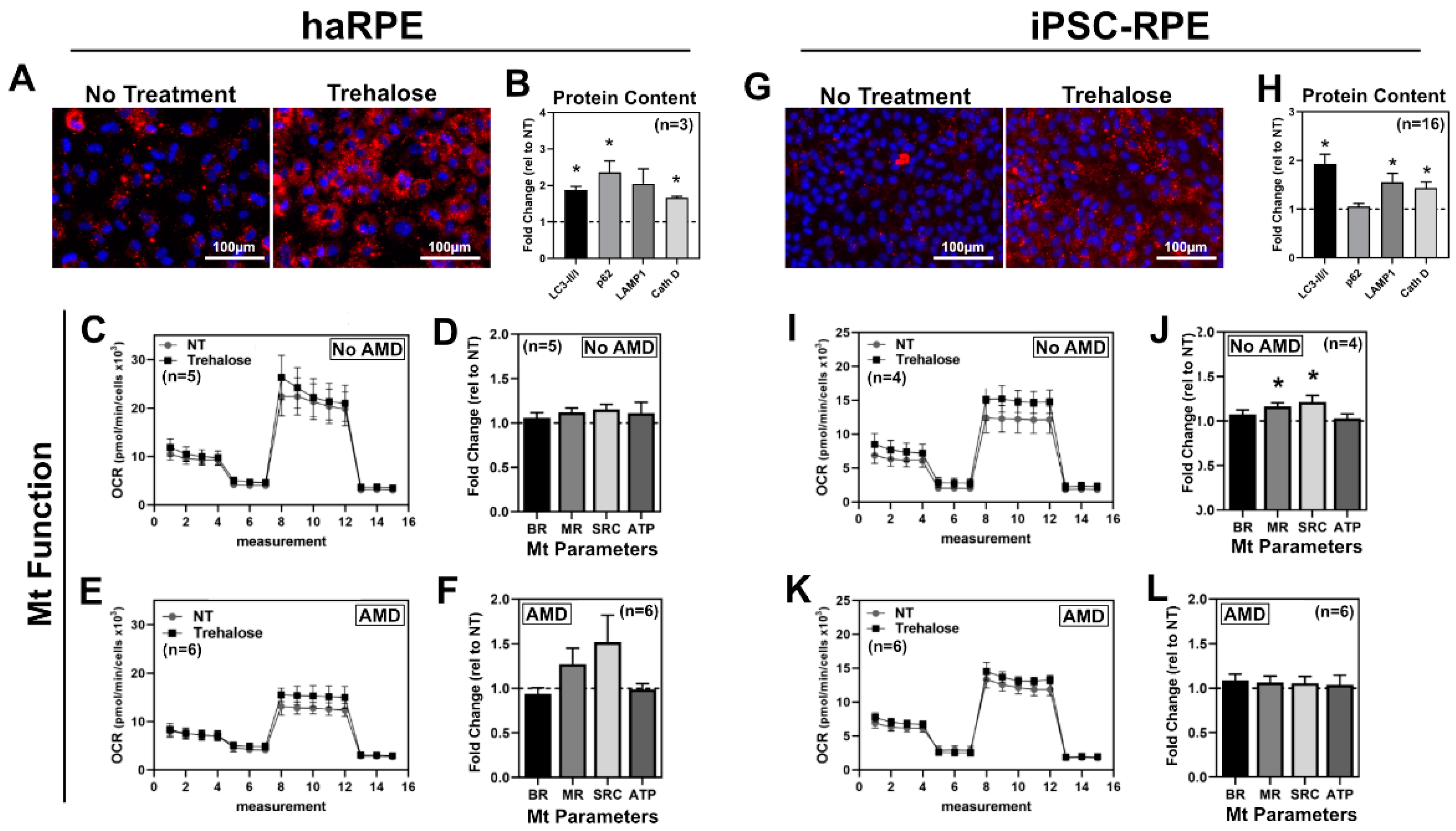 Antioxidants 11 00605 g004 550