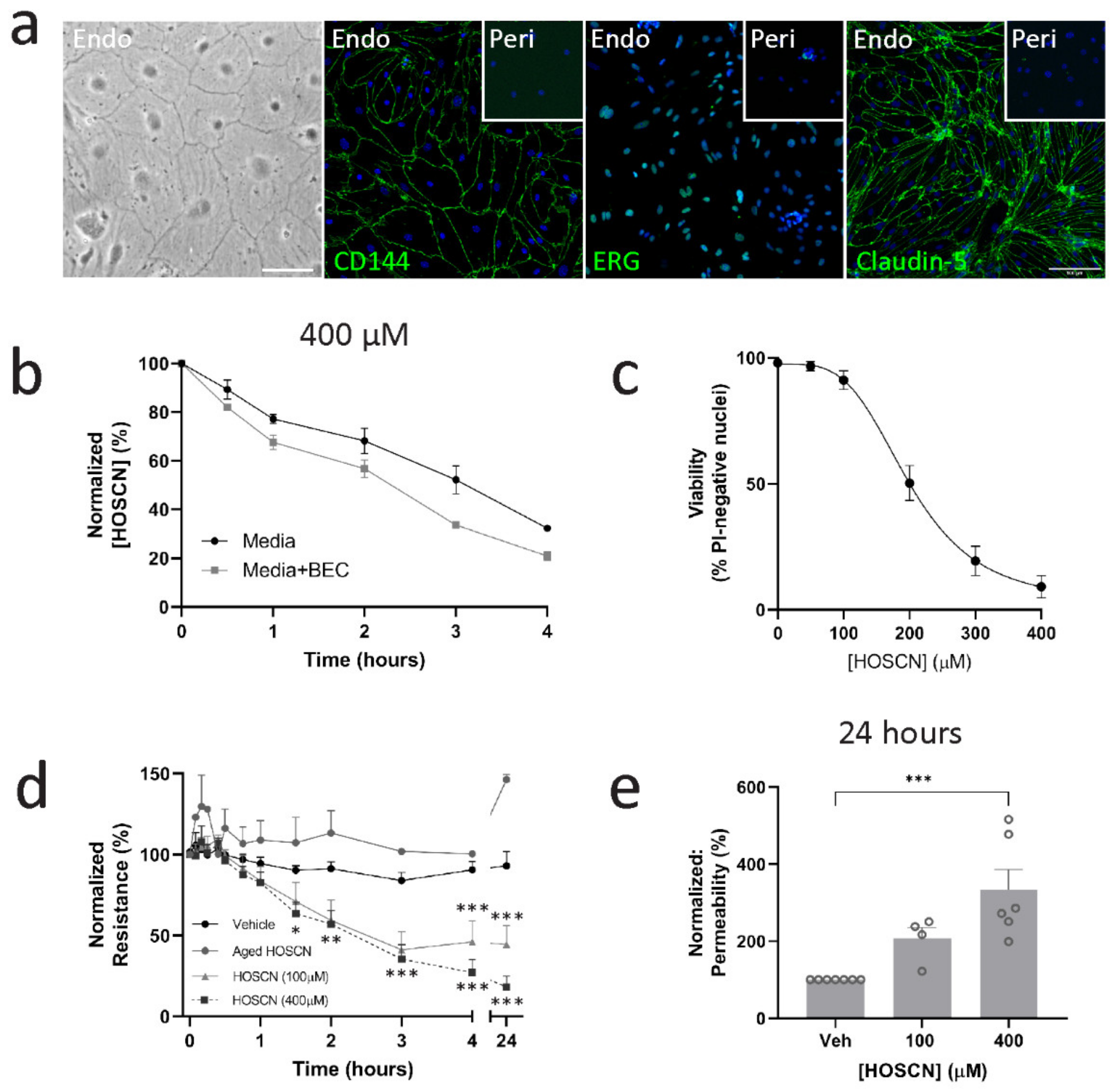 Antioxidants 11 00608 g001 Antioxidants 11 00608 g001