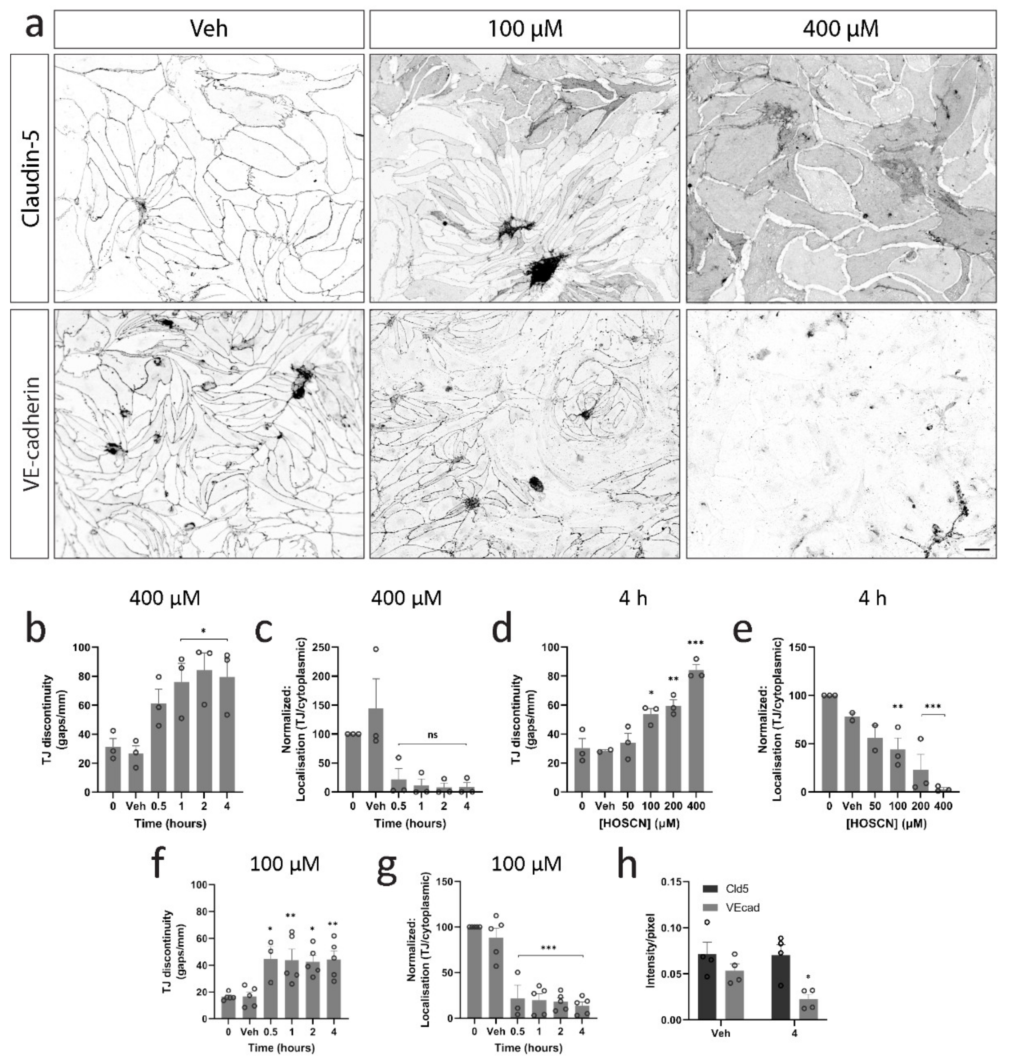 Antioxidants 11 00608 g002 Antioxidants 11 00608 g002