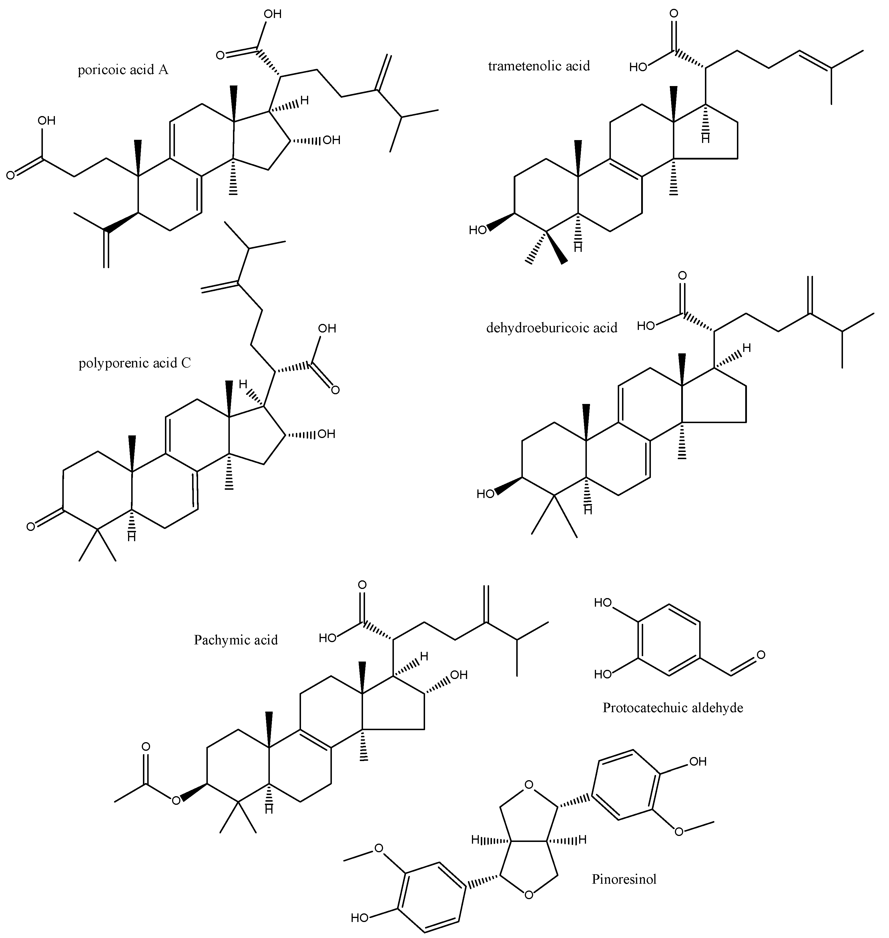 Antioxidants 11 00611 g013